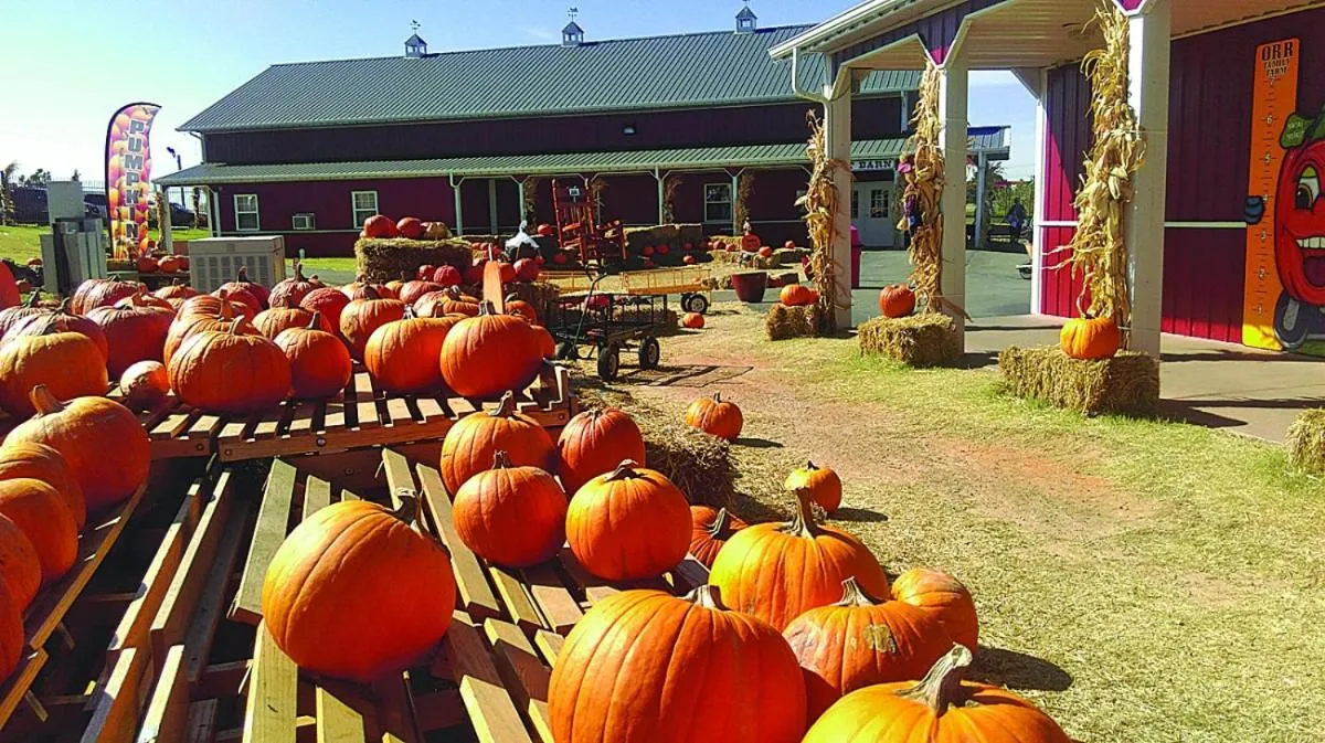 Hampton Inn & Suites-Moore