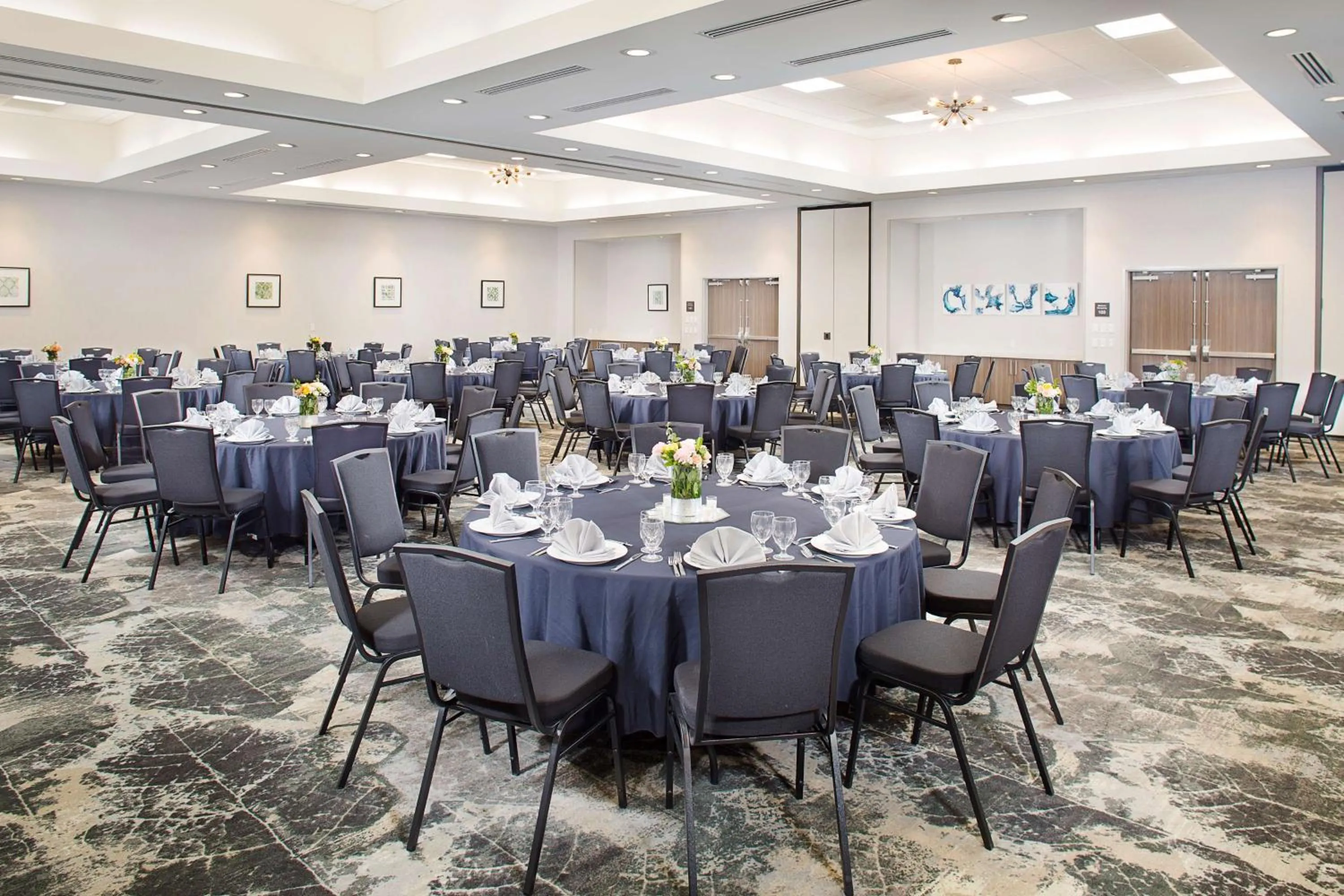 Meeting/conference room in Hilton Garden Inn Dallas/Arlington South