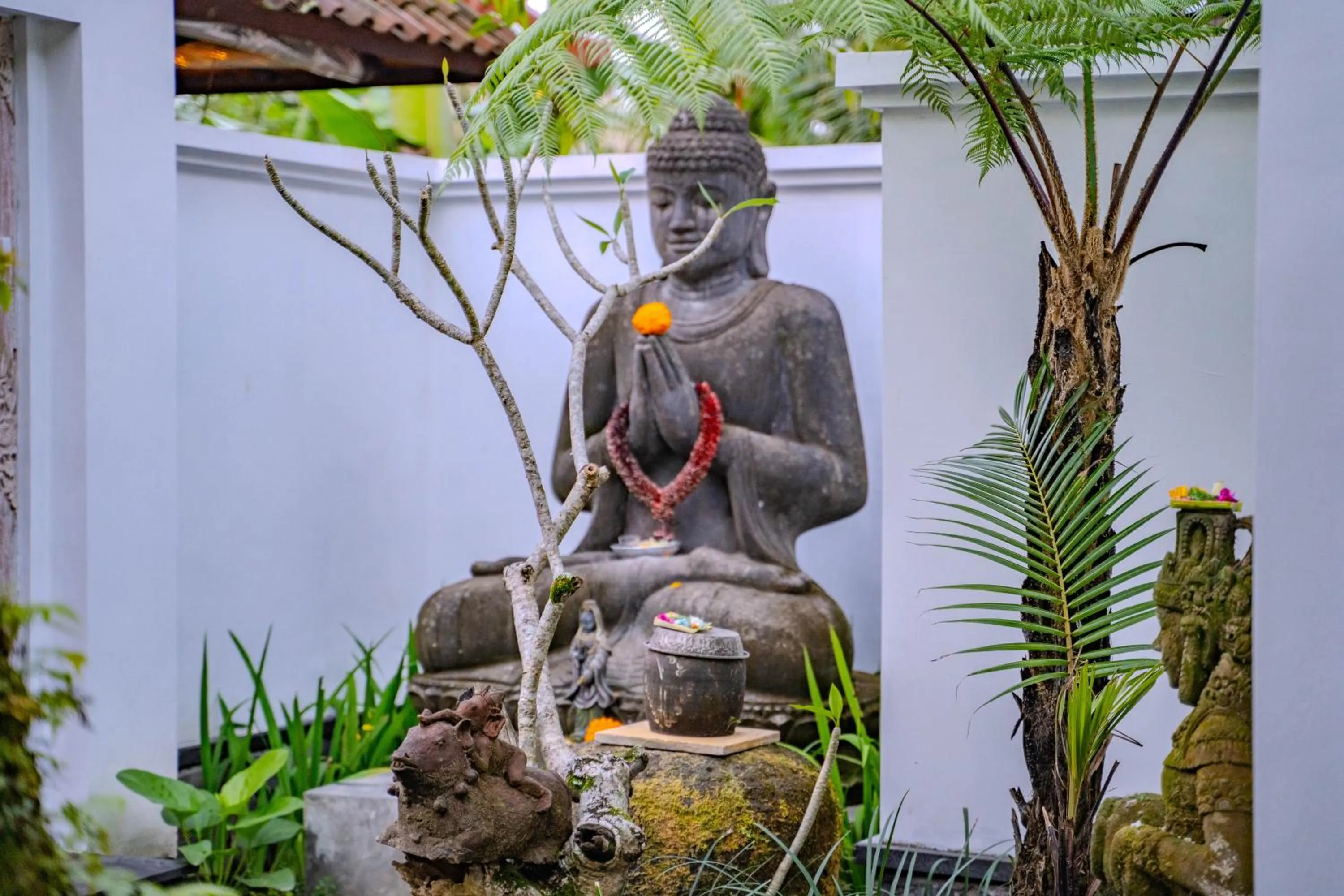 Natural landscape in Imagine Bali