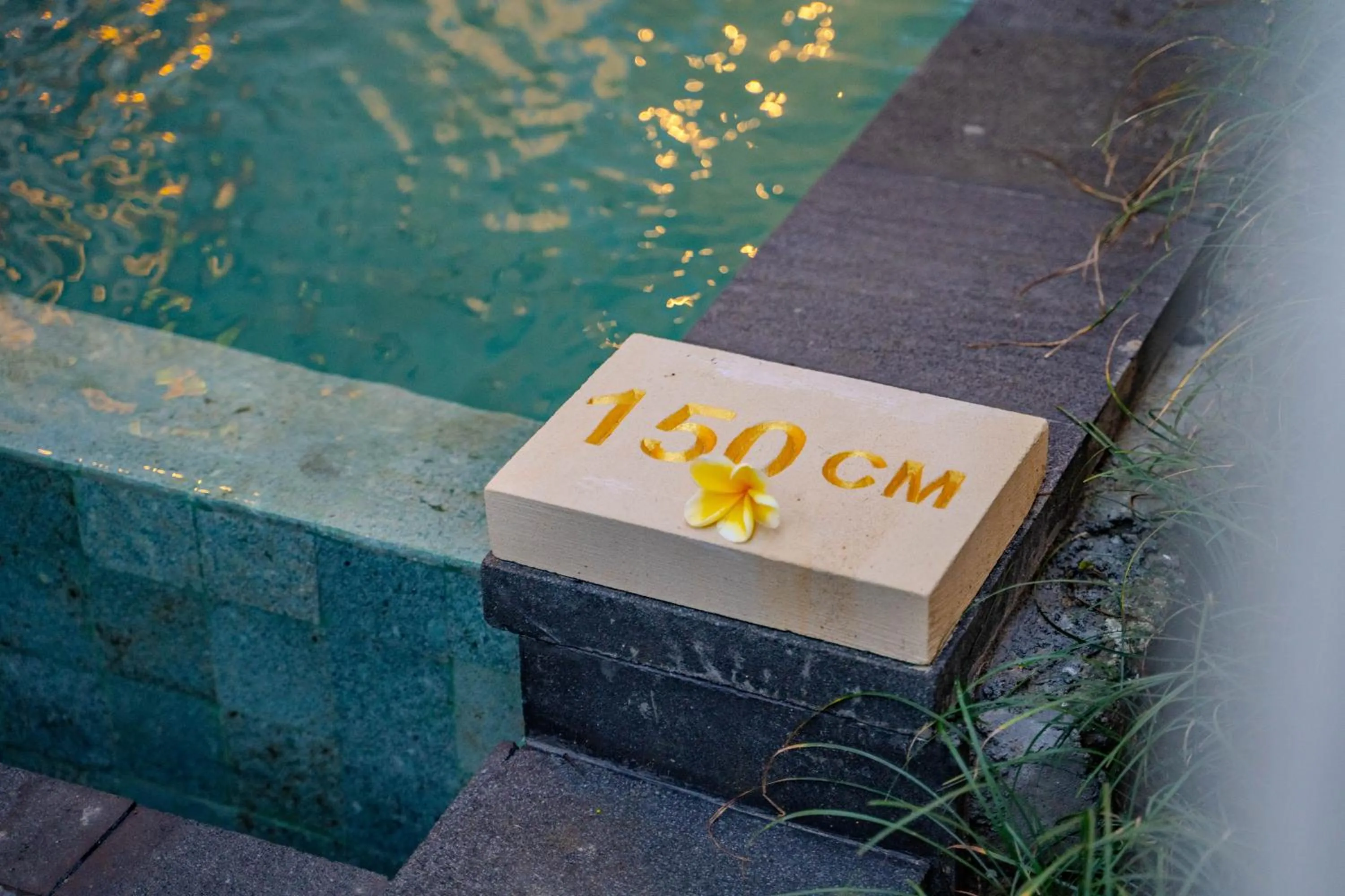 Natural landscape in Imagine Bali