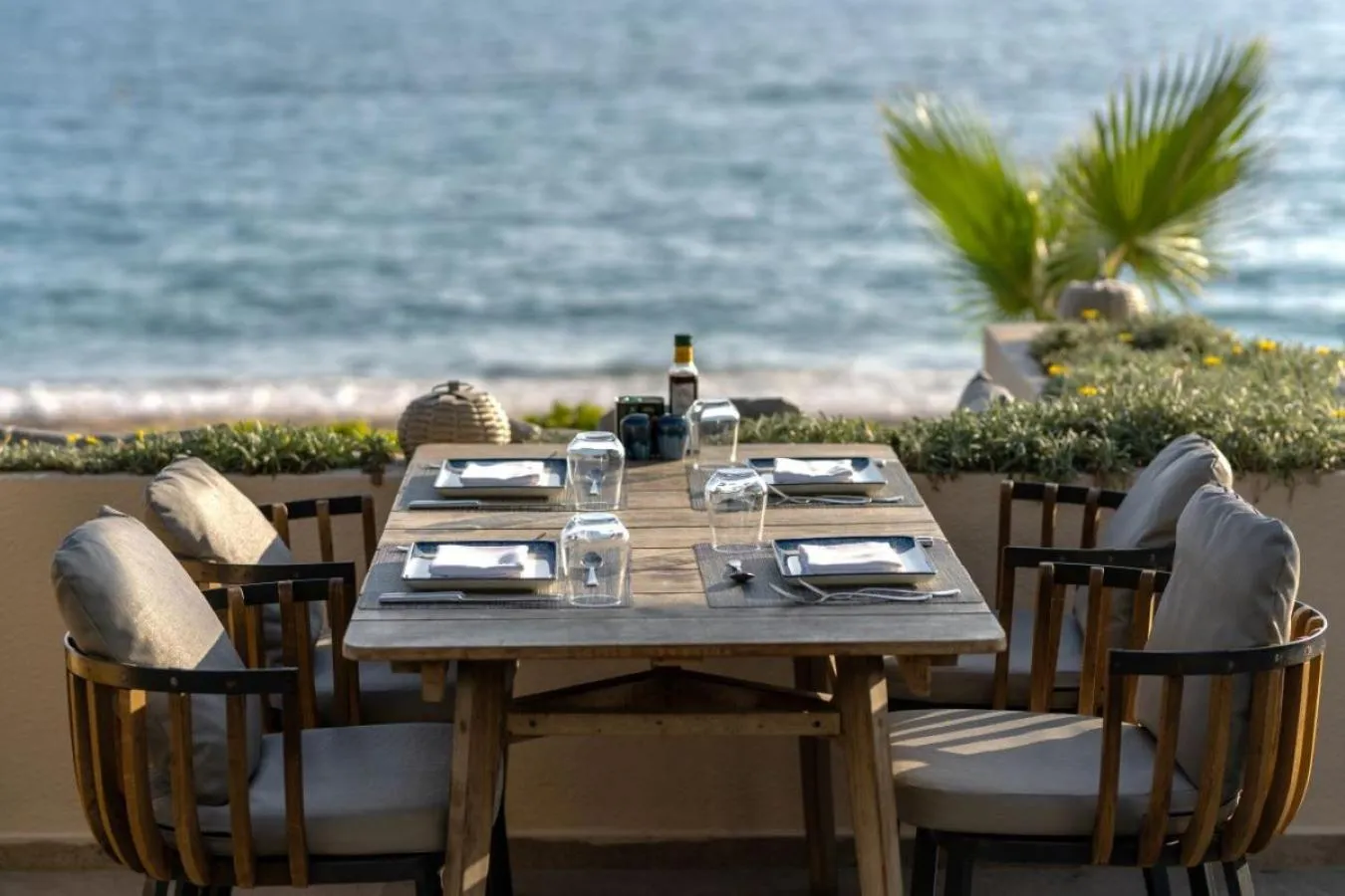 Restaurant/places to eat in Paloma Orenda