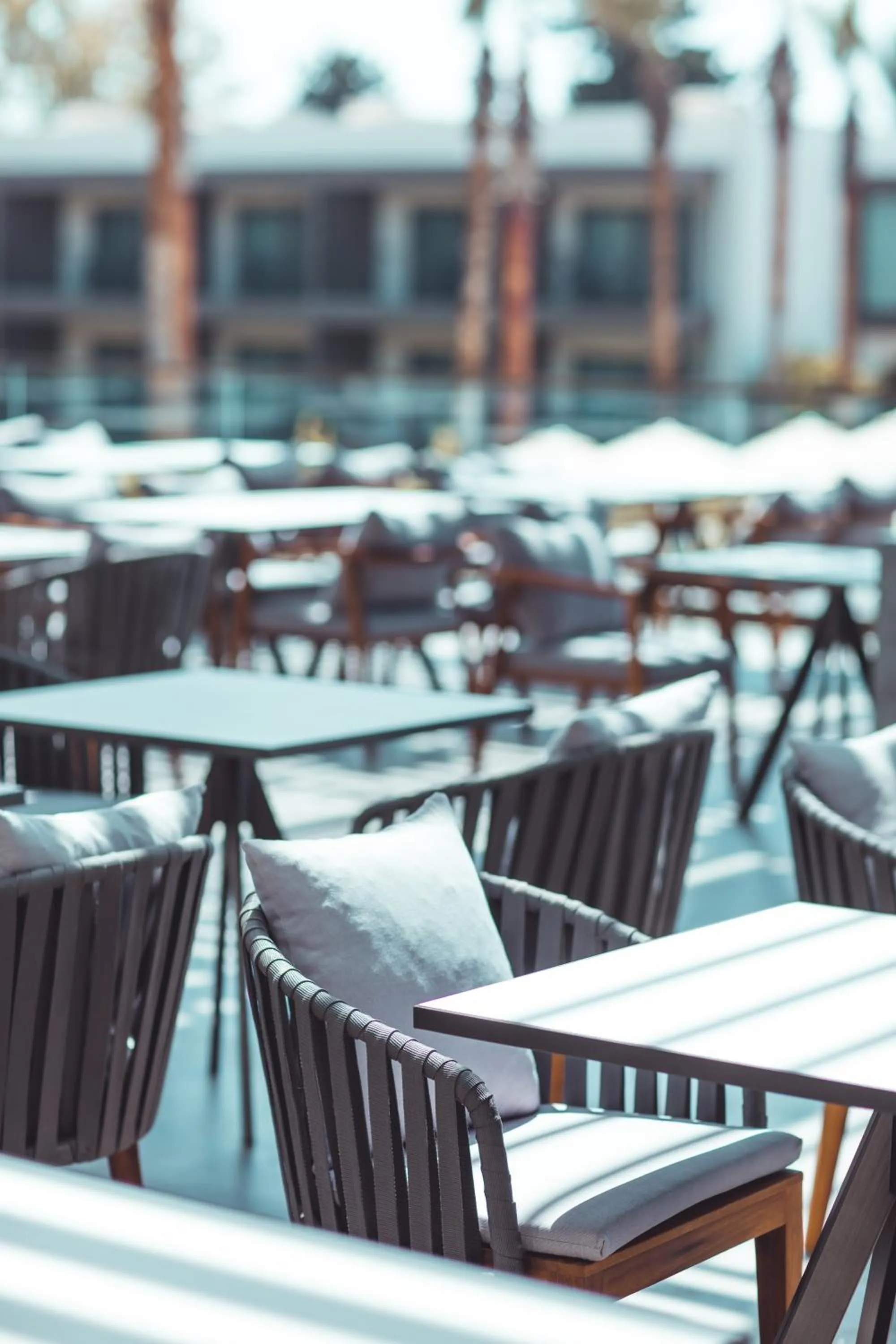 Restaurant/places to eat in Paloma Orenda