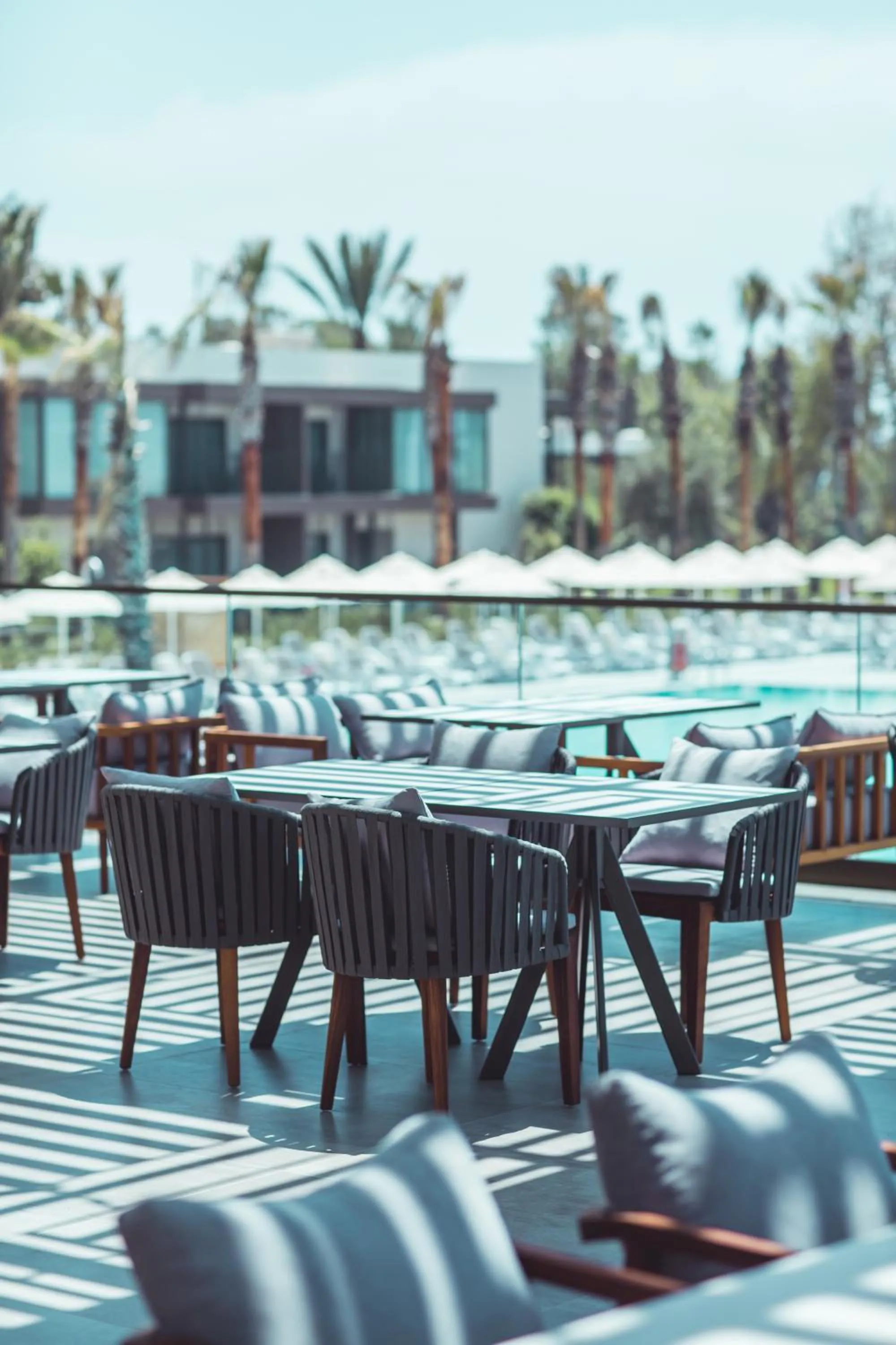 Restaurant/places to eat in Paloma Orenda