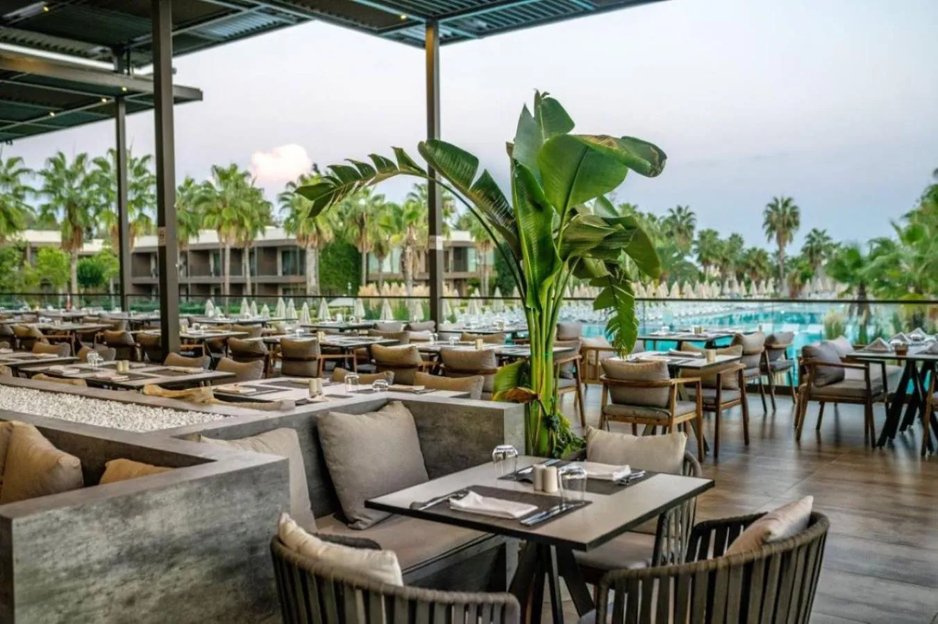 Restaurant/places to eat in Paloma Orenda