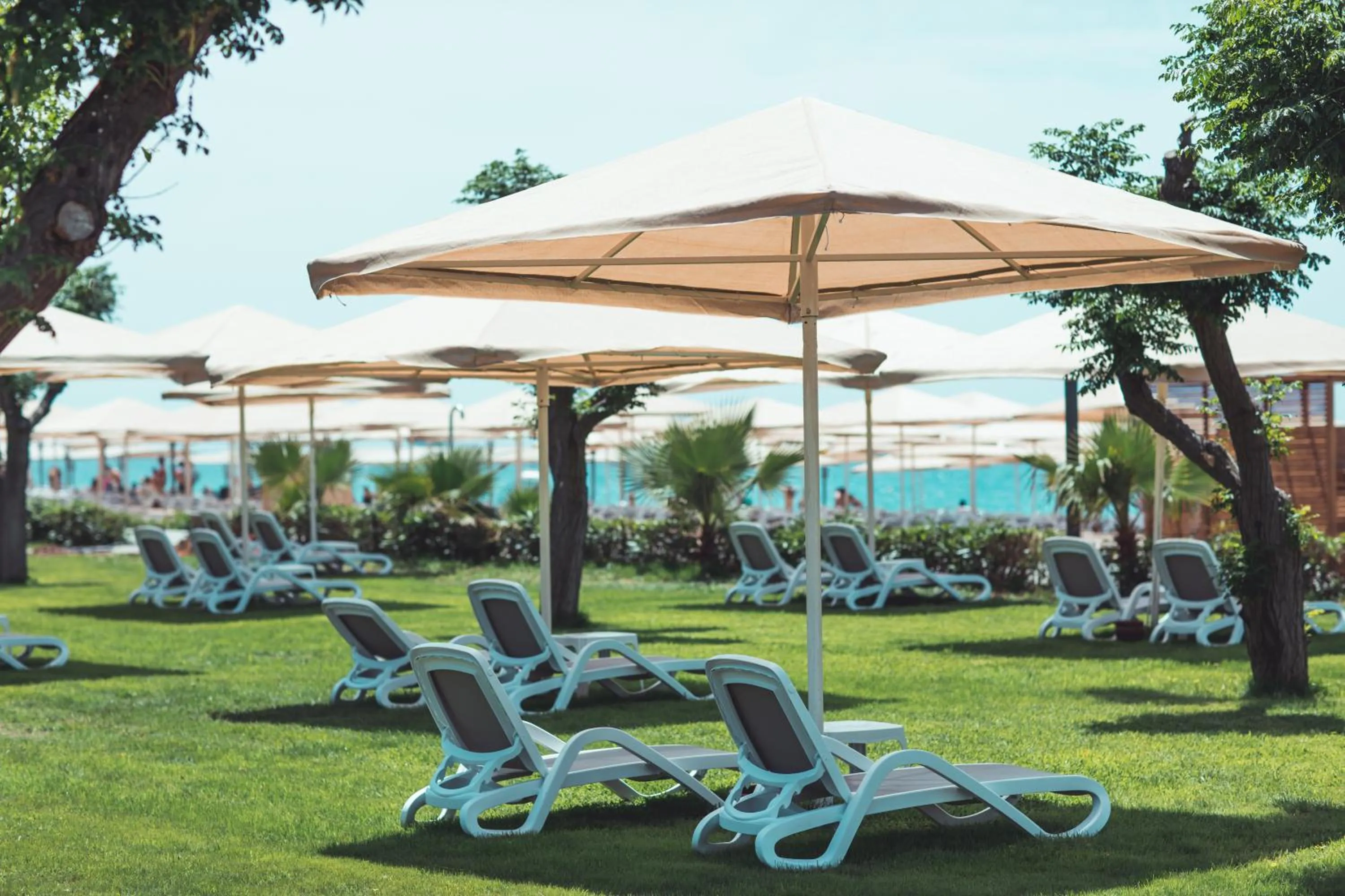 Beach in Paloma Orenda