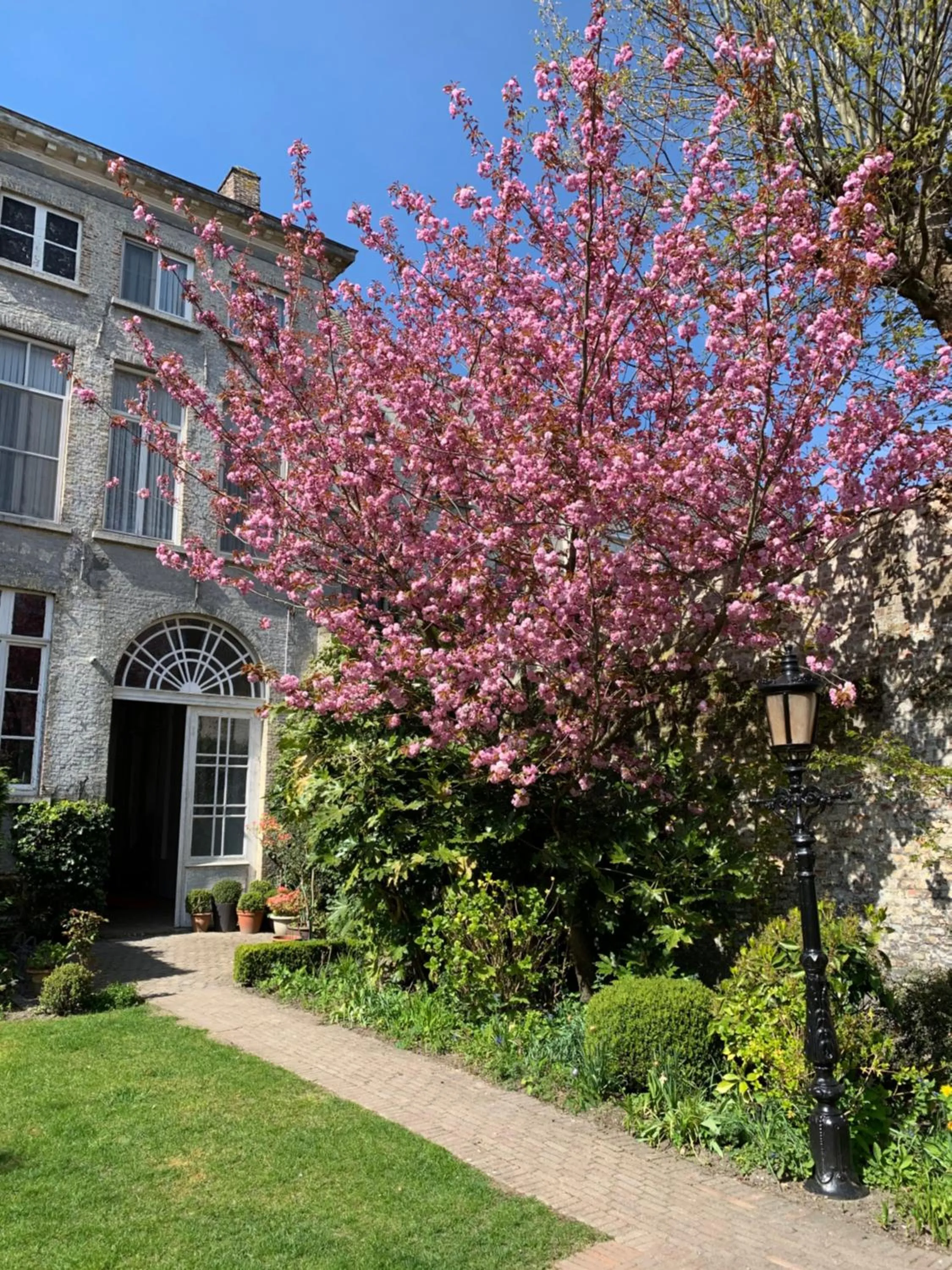 Garden in Hotel Patritius
