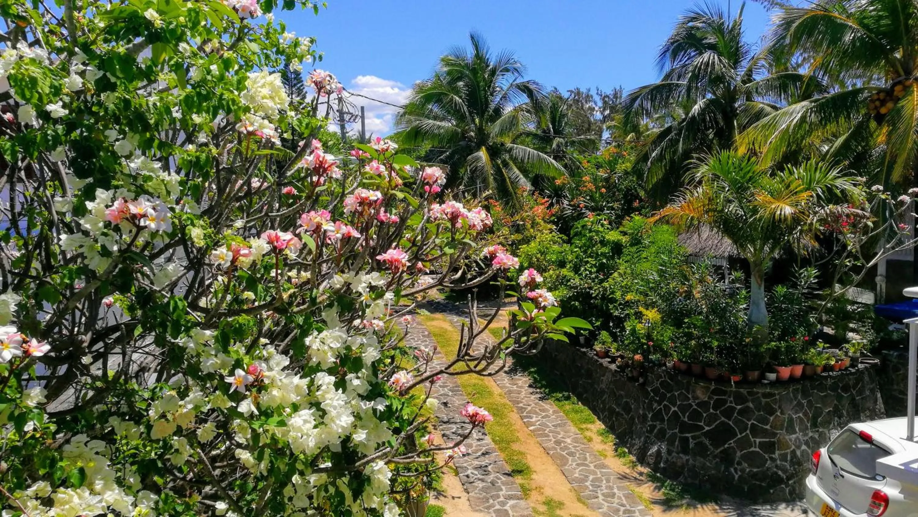 Garden view in Blue Beryl Guest House