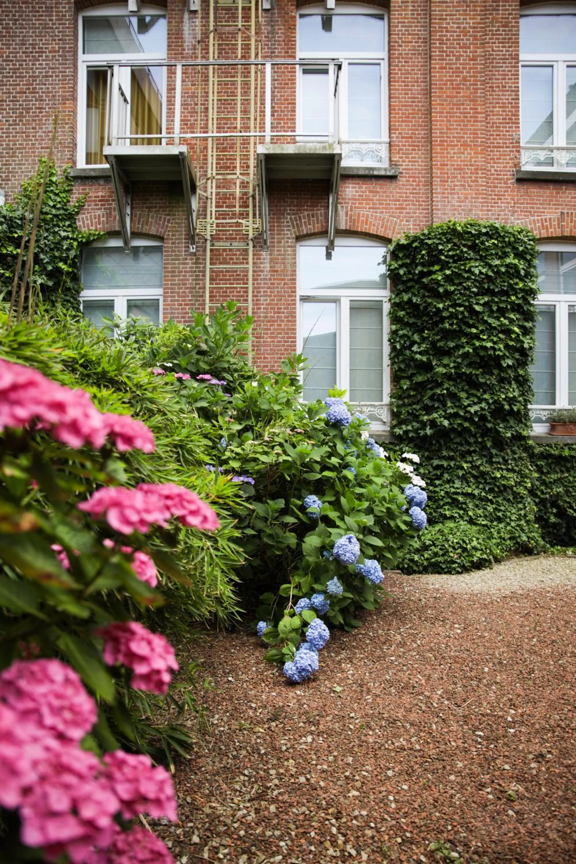 Budget Double Room in Alfa Inn