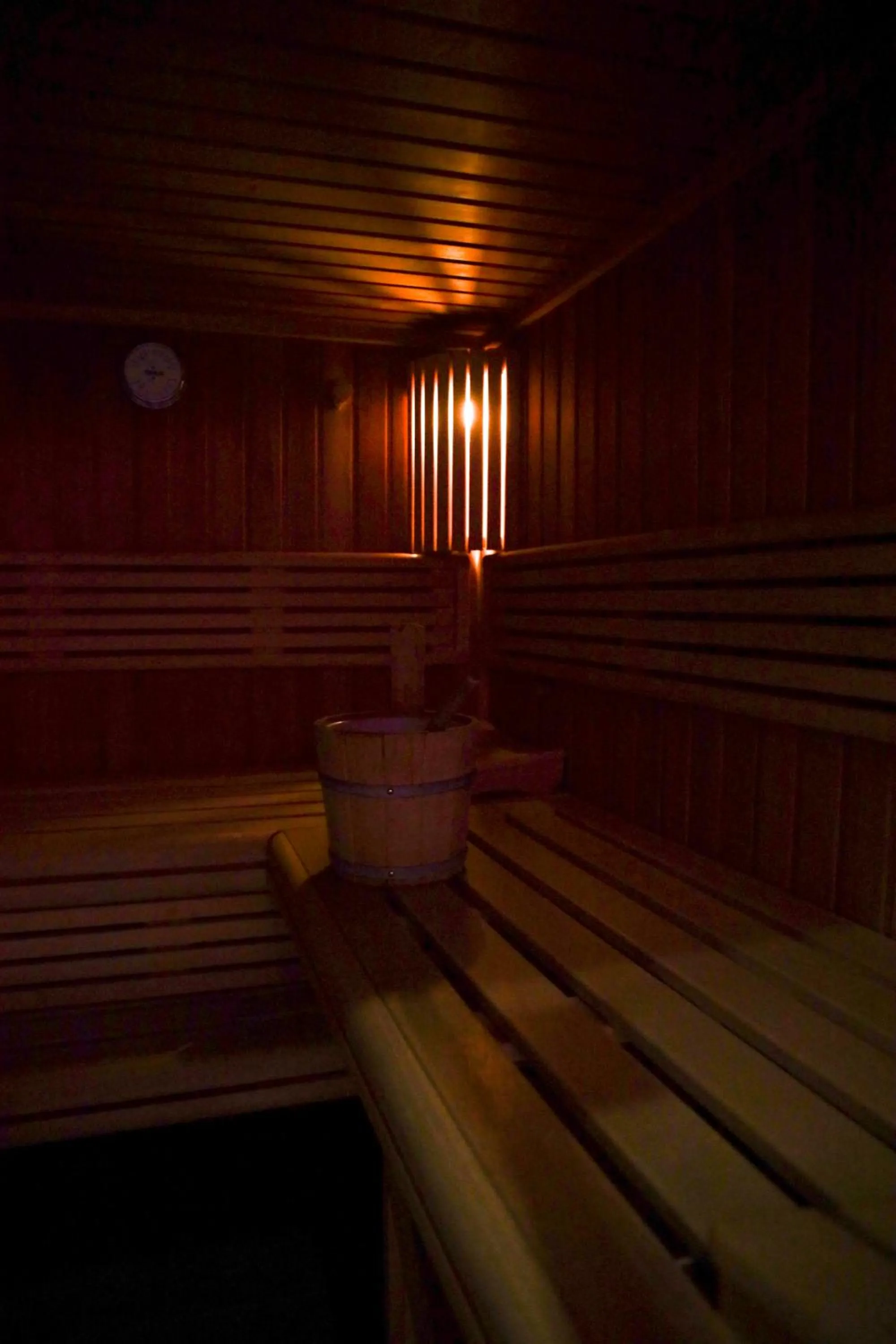 Sauna in Alfa Inn