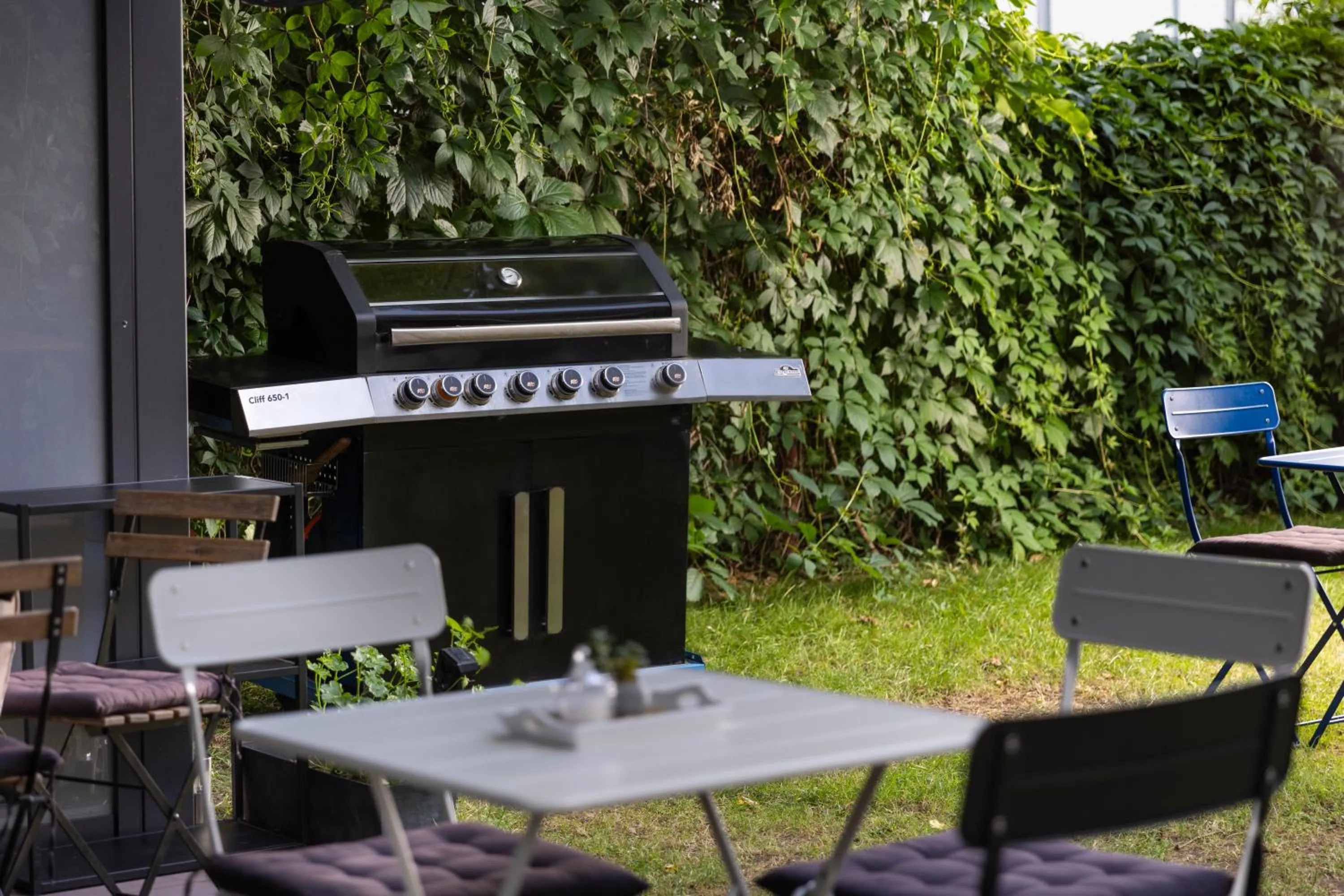 Garden in Hotel AMITY