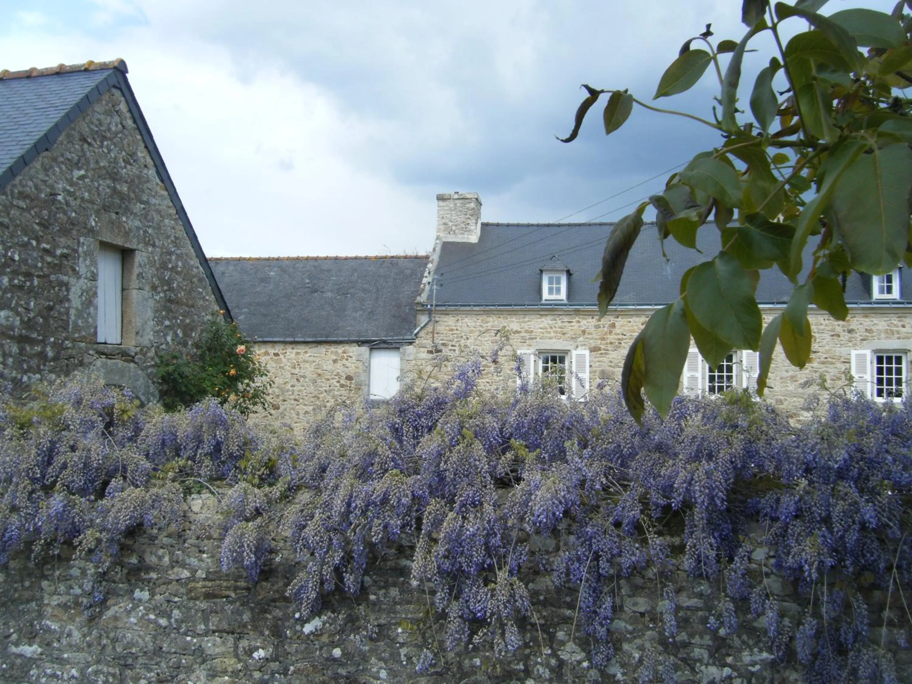 Garden in Les chambres du Manoir de Kerhel