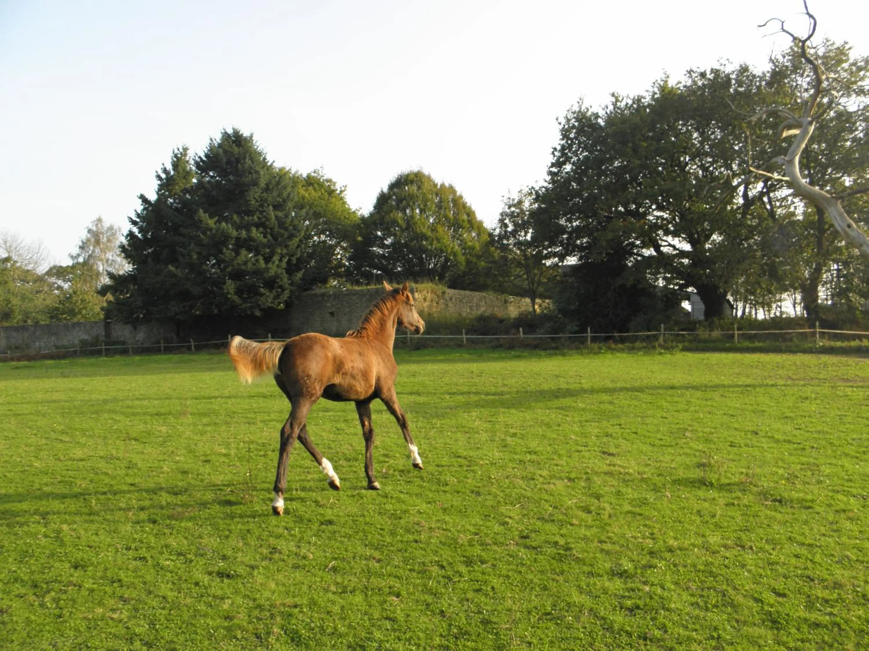 Nearby landmark in Les chambres du Manoir de Kerhel