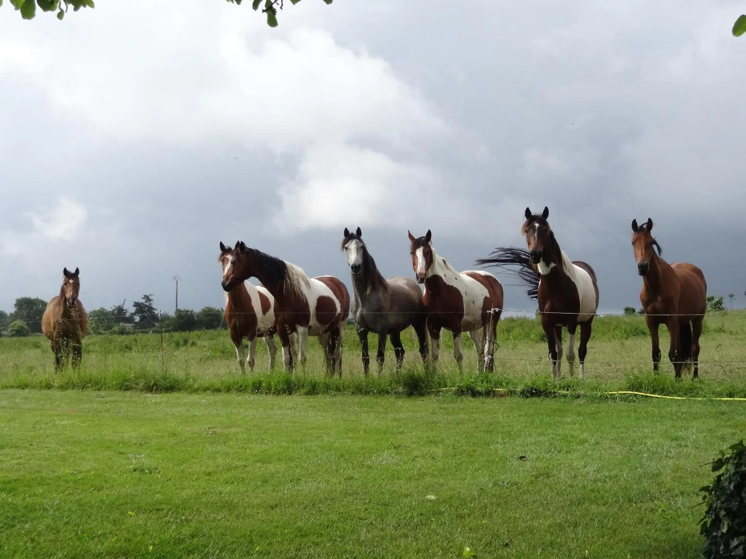 Spring in Les chambres du Manoir de Kerhel