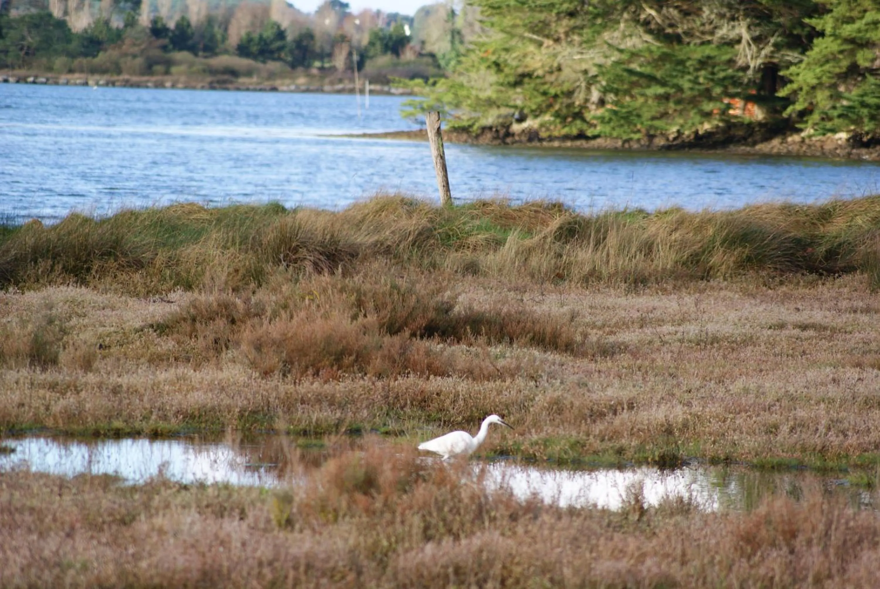 Nearby landmark in Les chambres du Manoir de Kerhel