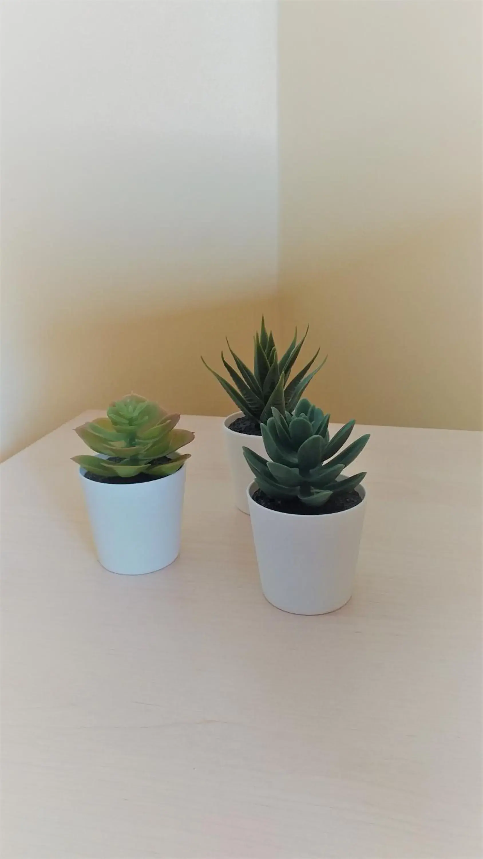 Double or Twin Room with Private Bathroom in B&B Le Vedute Double or Twin Room with Private Bathroom in B&B Le Vedute