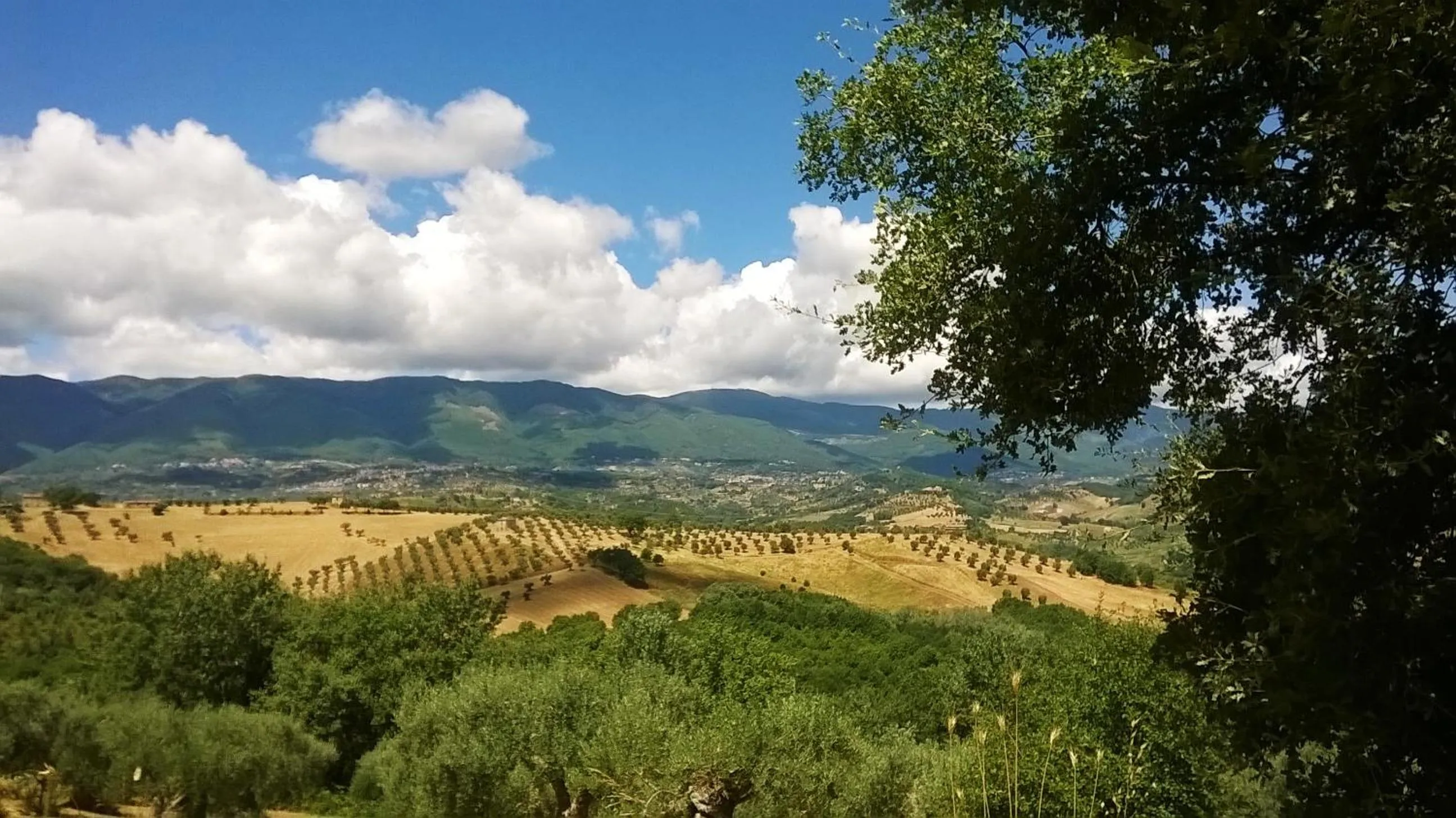 Natural landscape in B&B Le Vedute