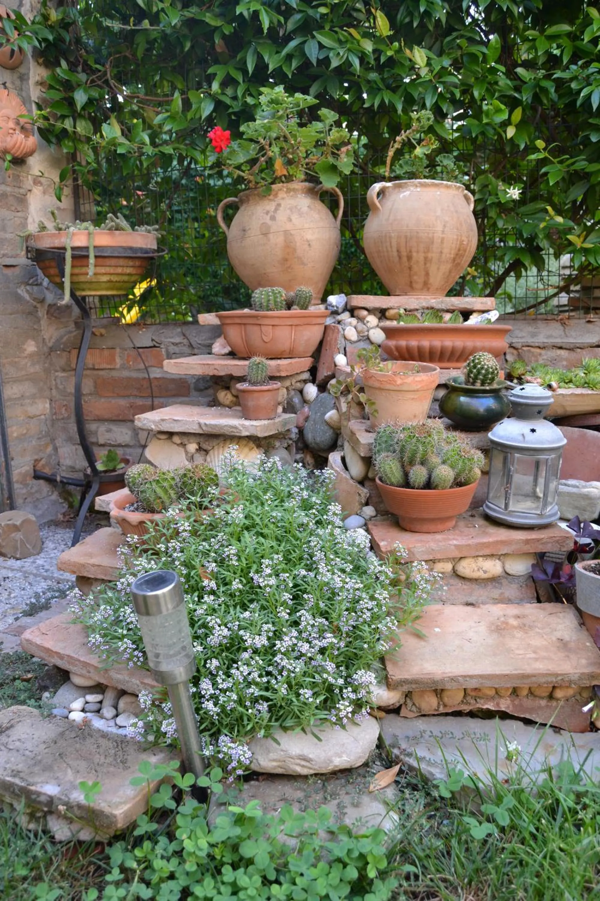 Garden in Il Giardino Roccioso