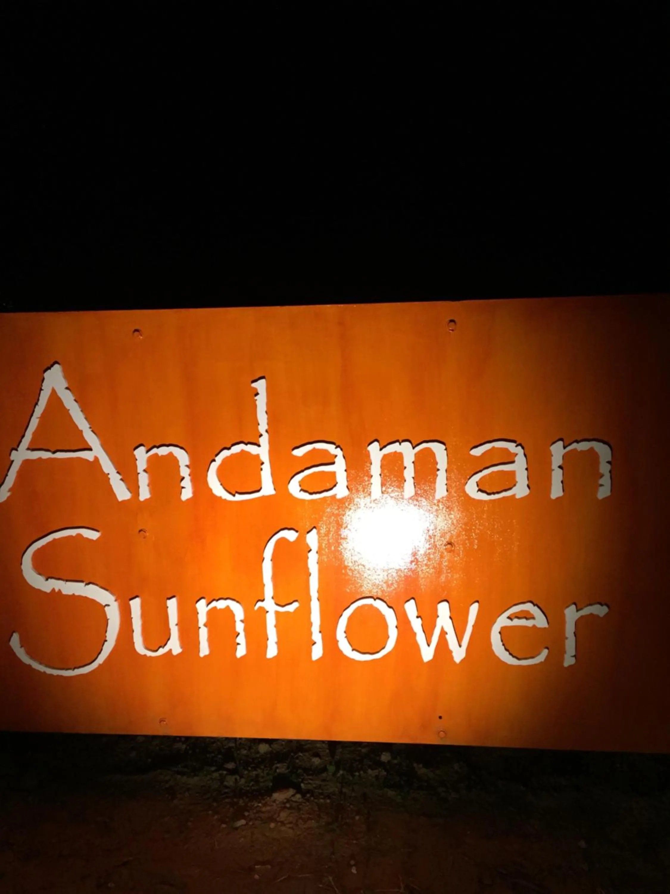 Andaman Sunflower