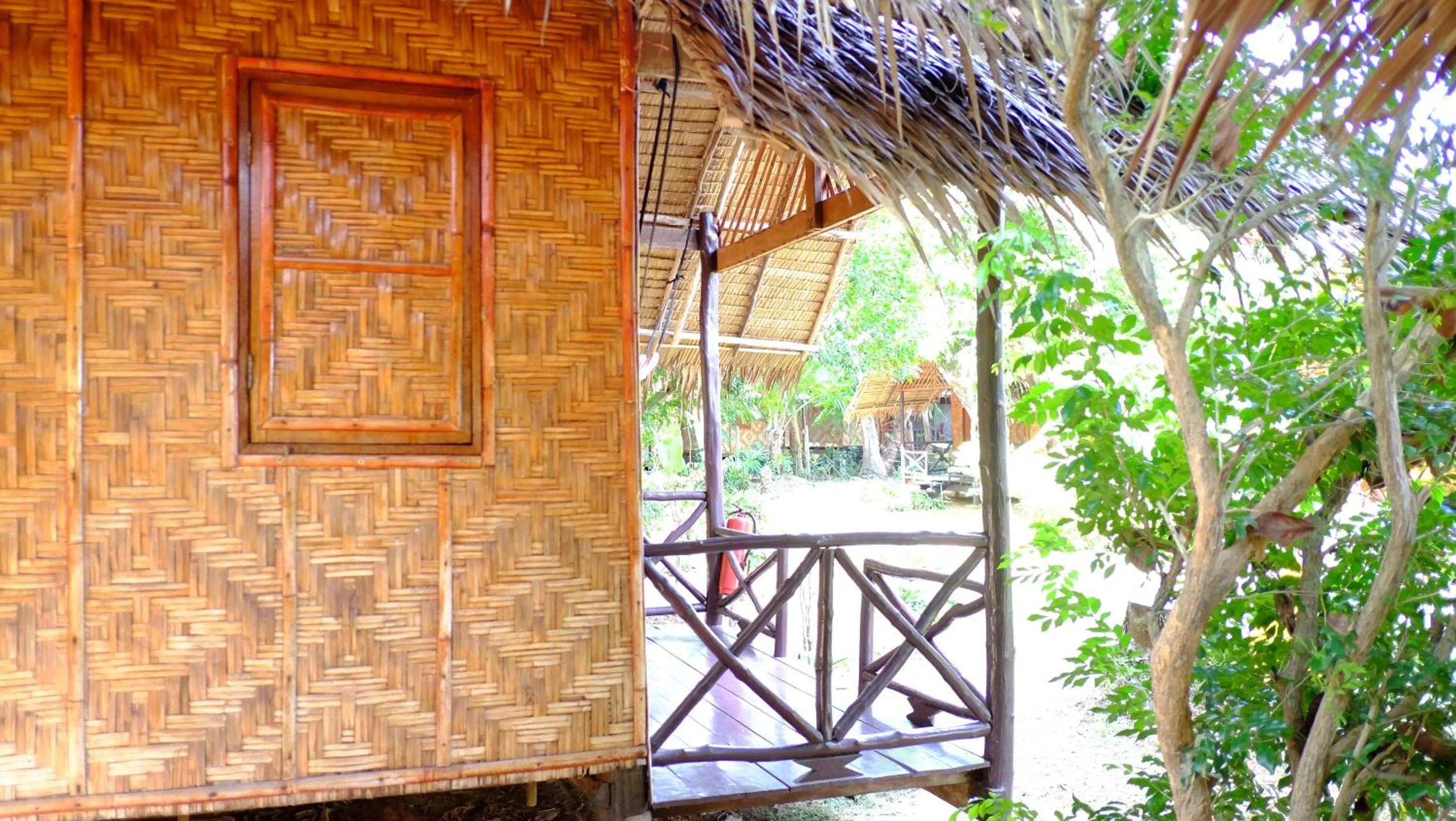 Garden view in Andaman Sunflower