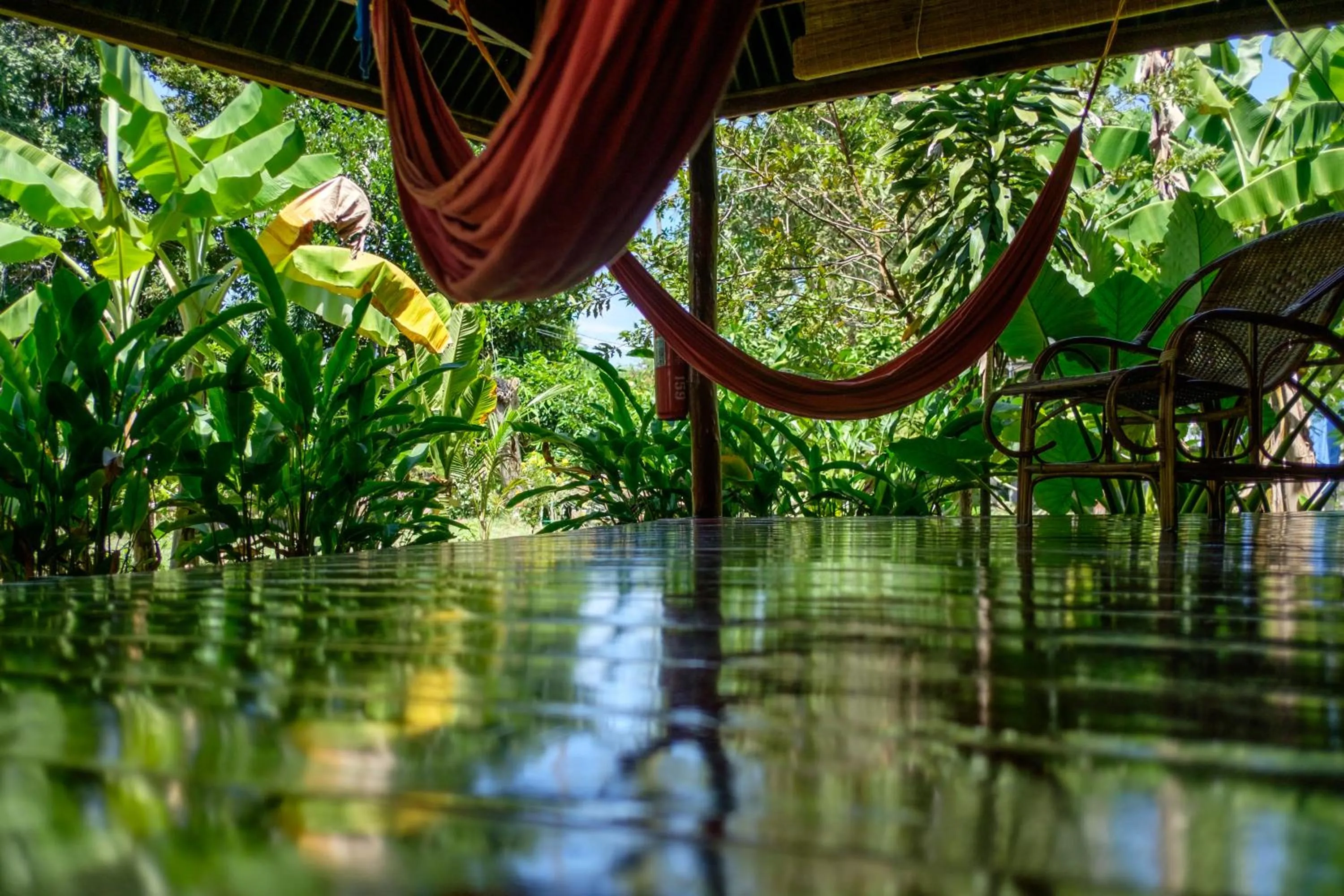 Balcony/Terrace in Andaman Sunflower