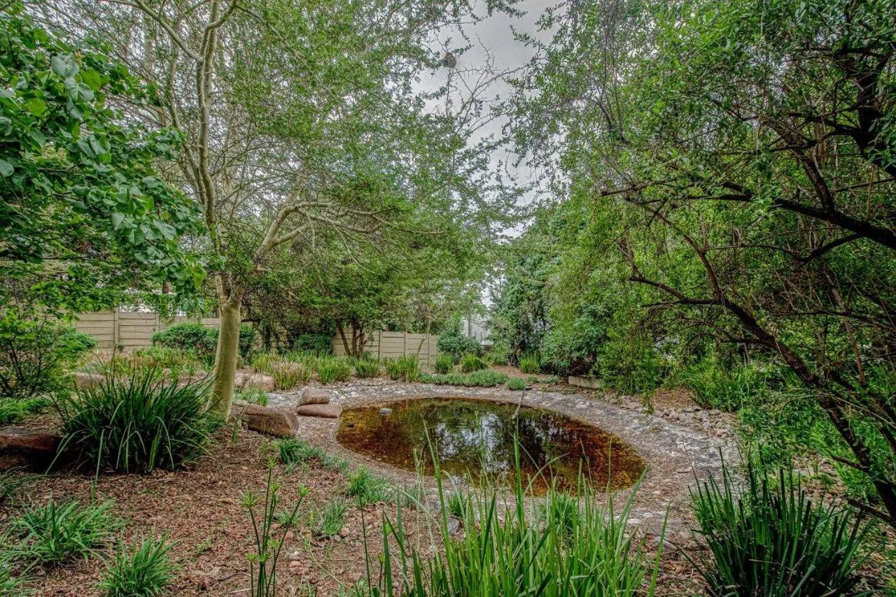 Natural landscape in Wild Olive Executive Suite