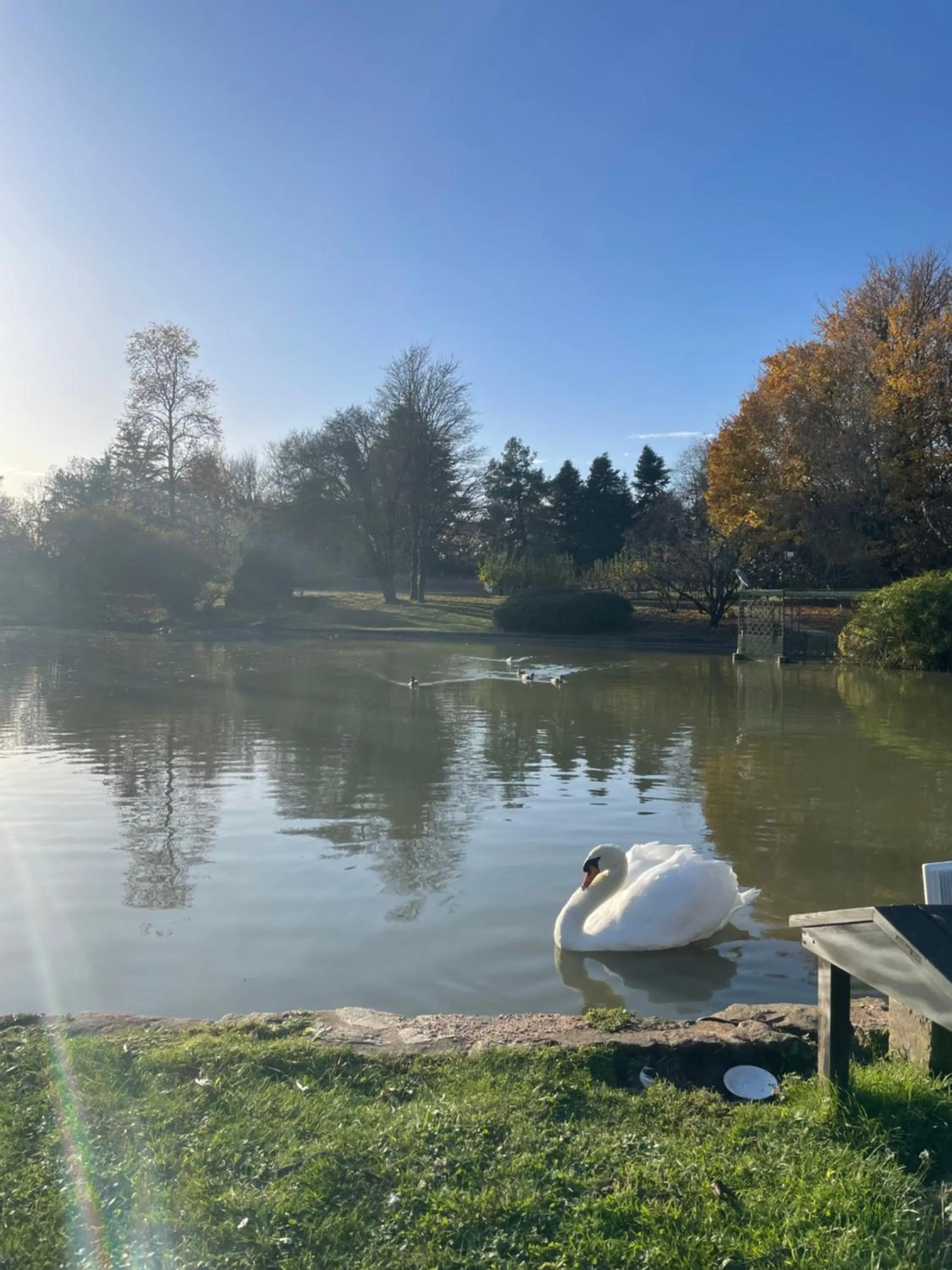 Garden in Relais du Bois Saint Georges - Hôtel de Charme