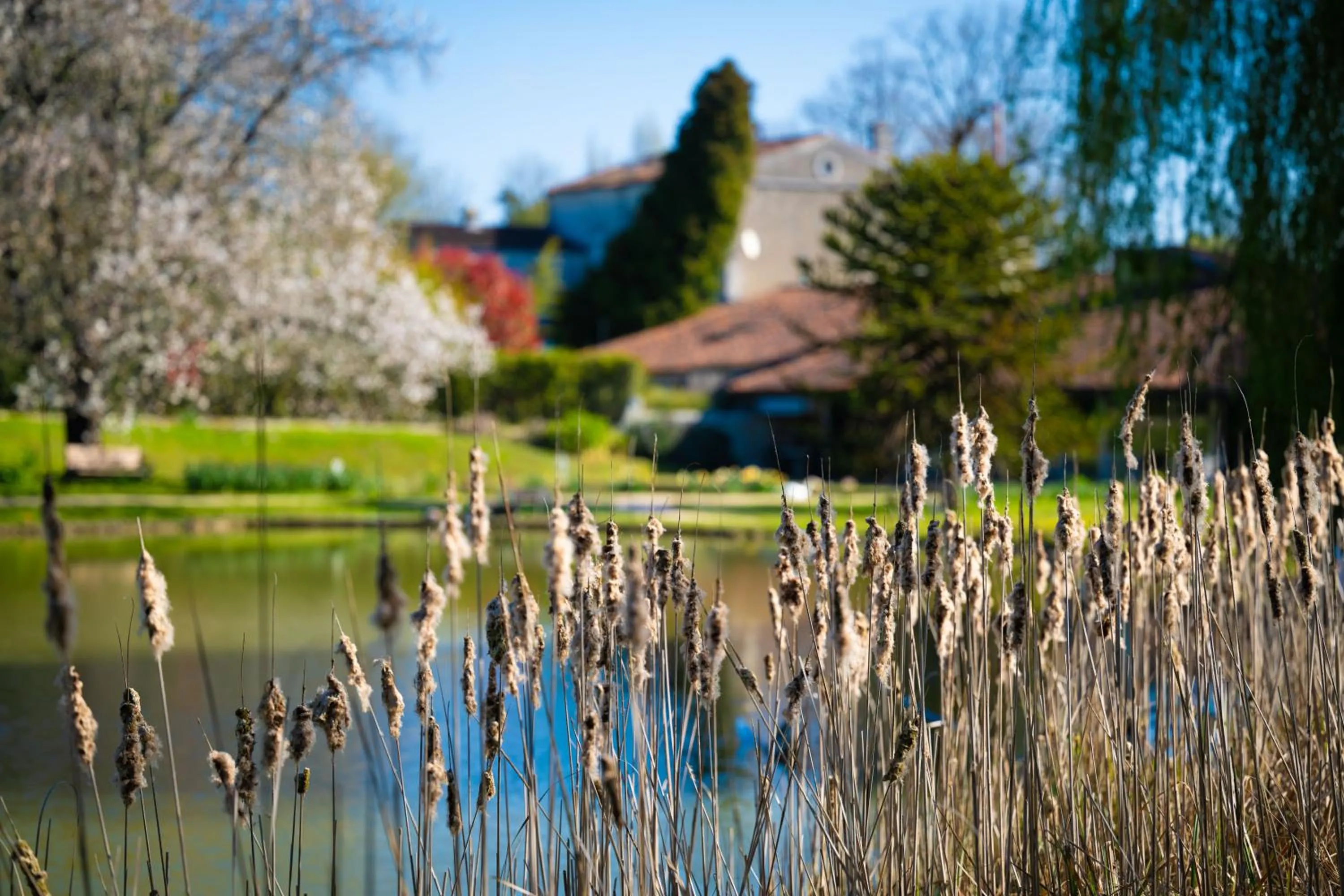 Relais du Bois Saint Georges - Hôtel de Charme