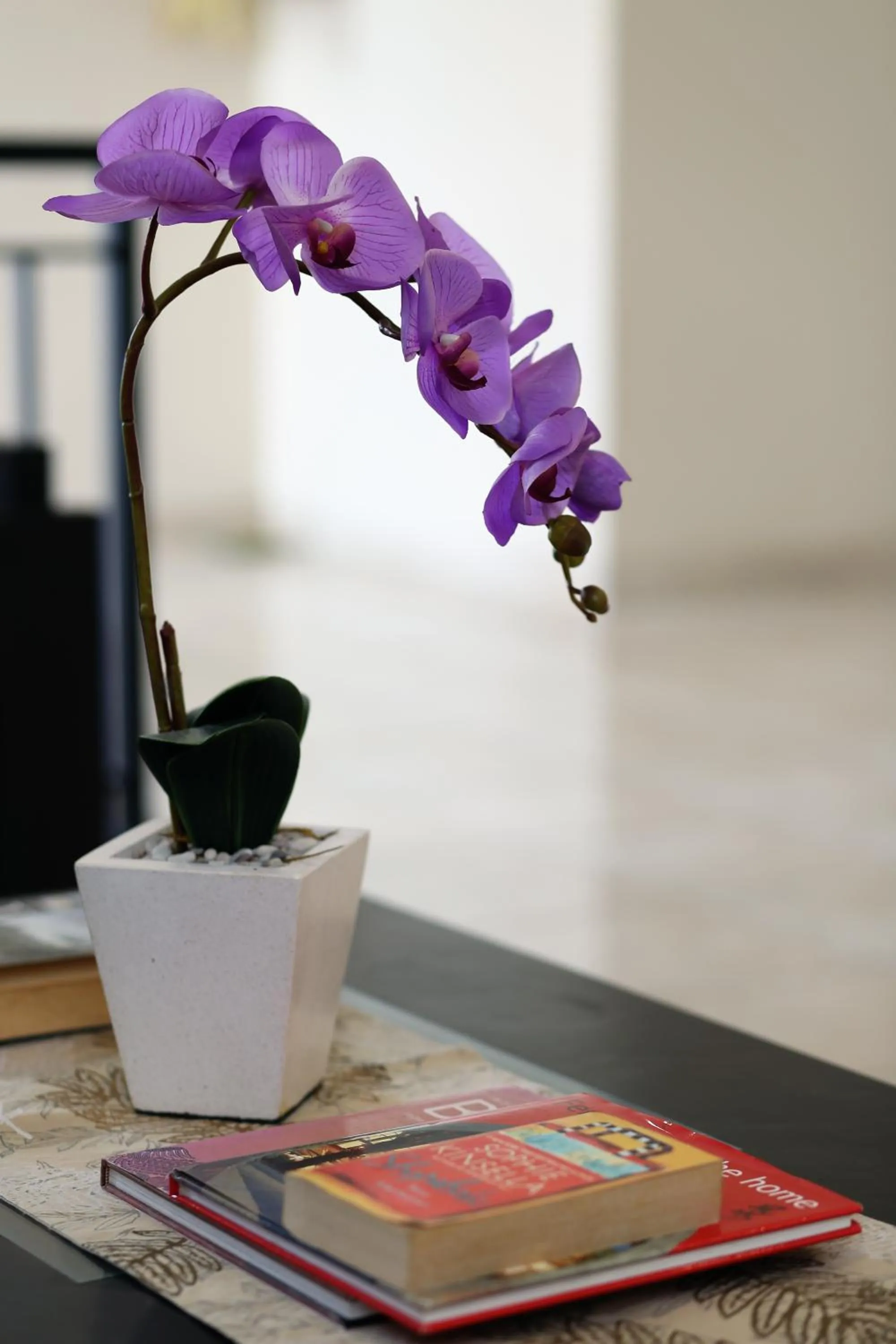 Property building in Cameng Homestay