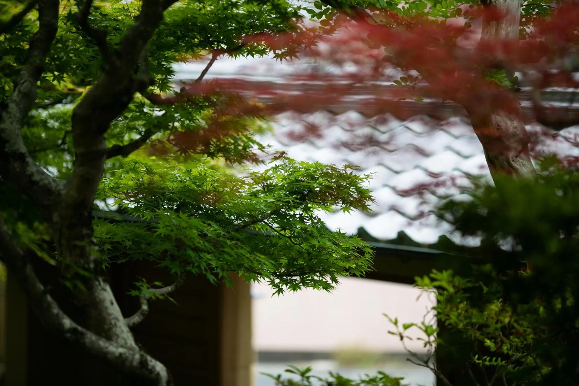 Facade/entrance in Ryotei Jyusouya