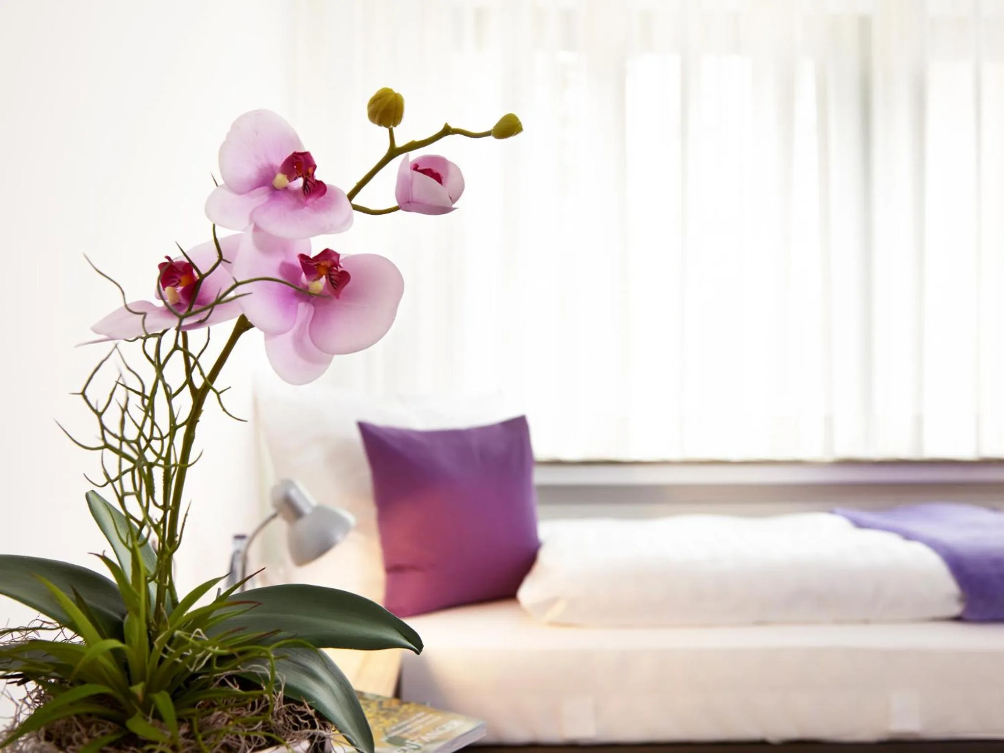 Hotel Hegemann garni