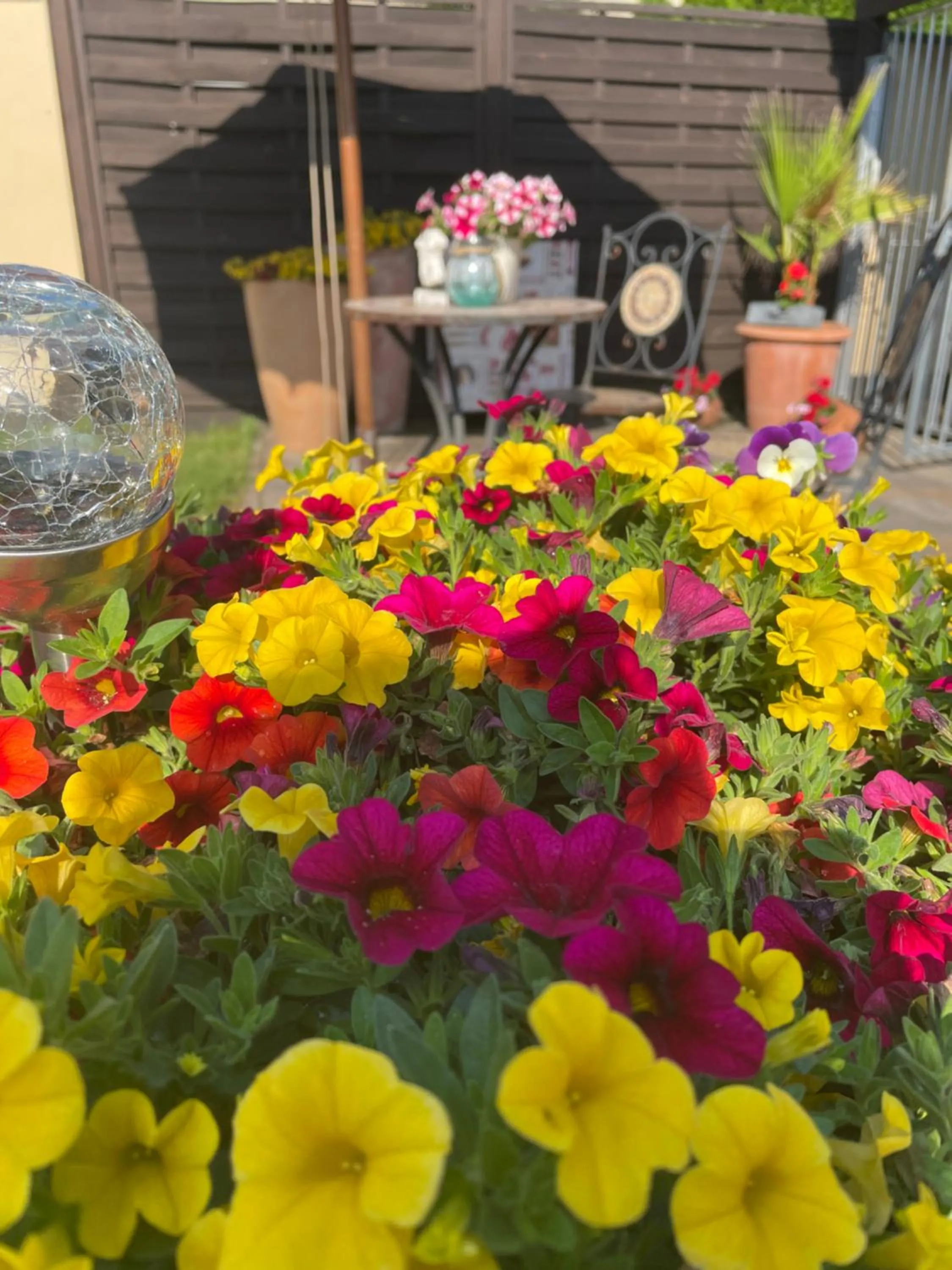 Hotel Hegemann garni