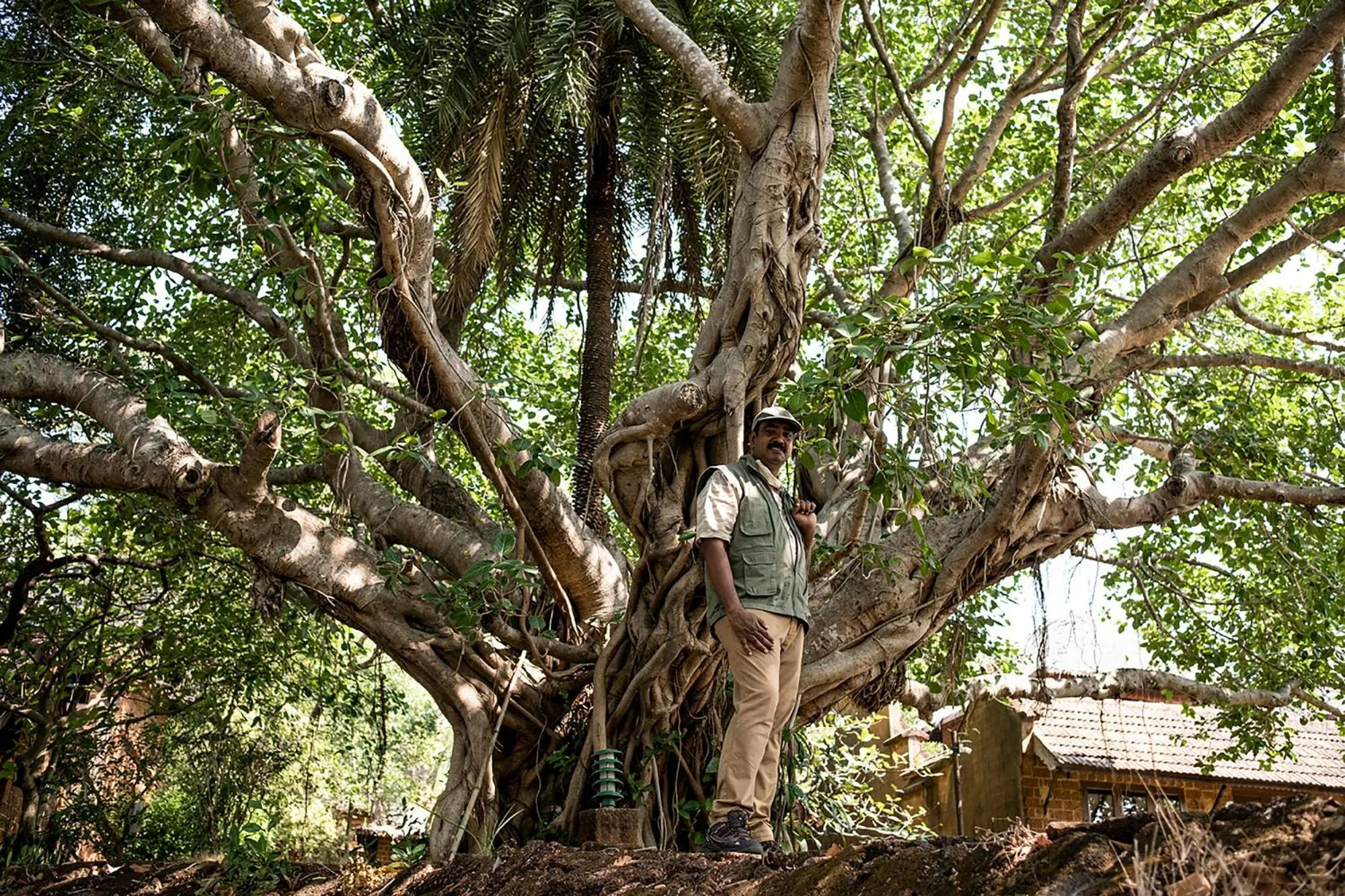 SwaSwara Wellness - A CGH Earth Experience, Gokarna