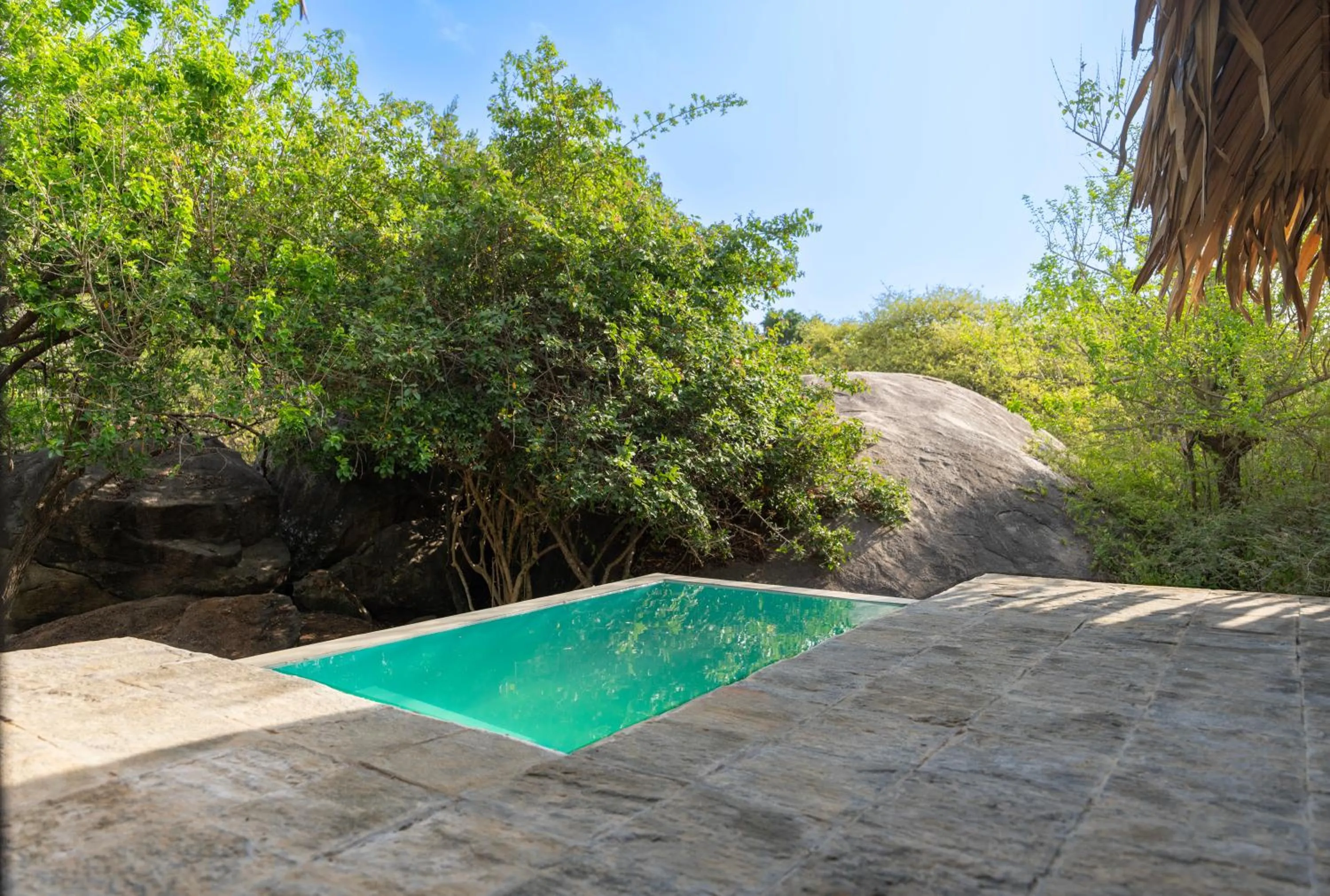 Pool view in Yakaduru - Yala