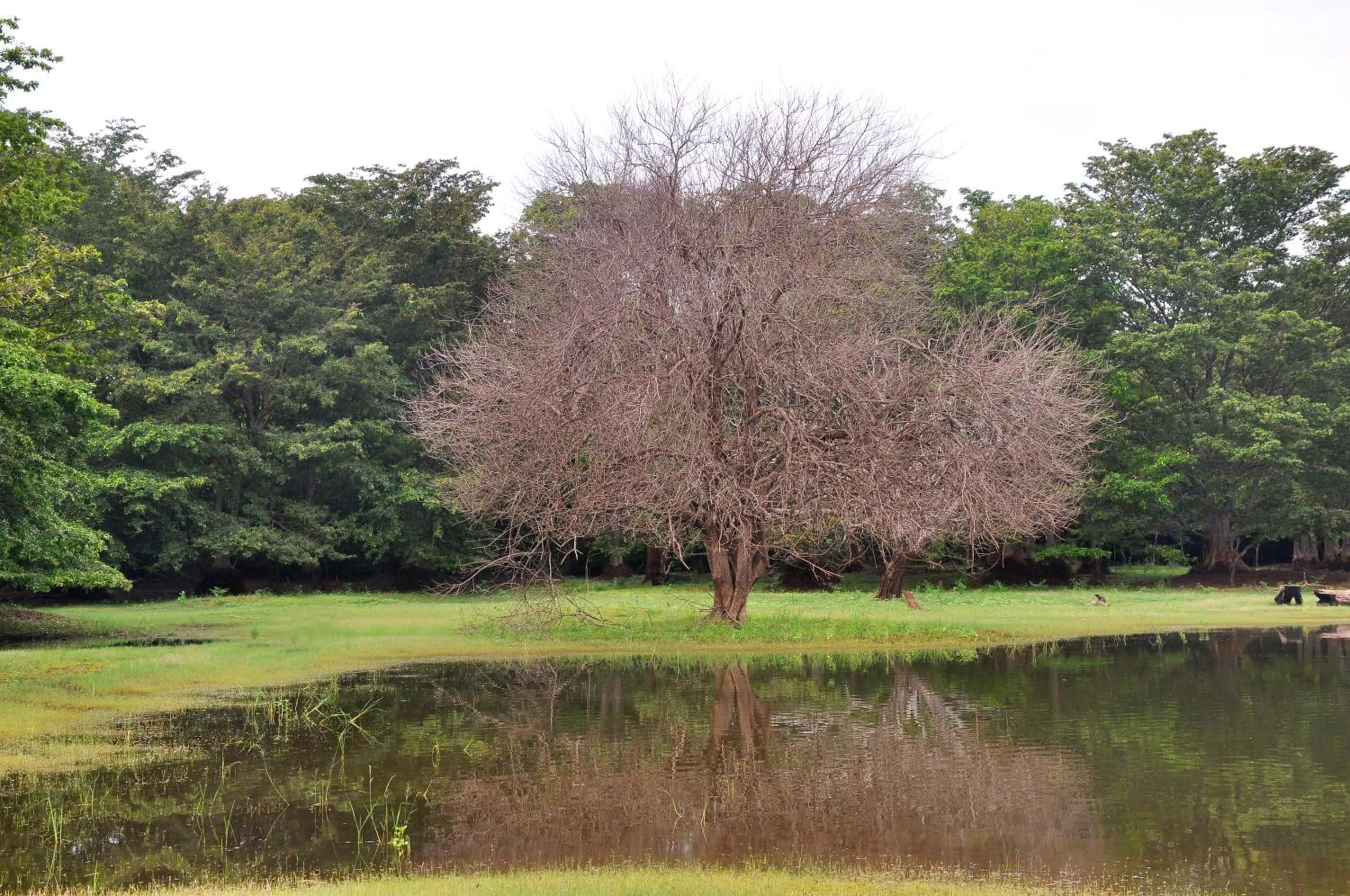 Nearby landmark in La Pentera