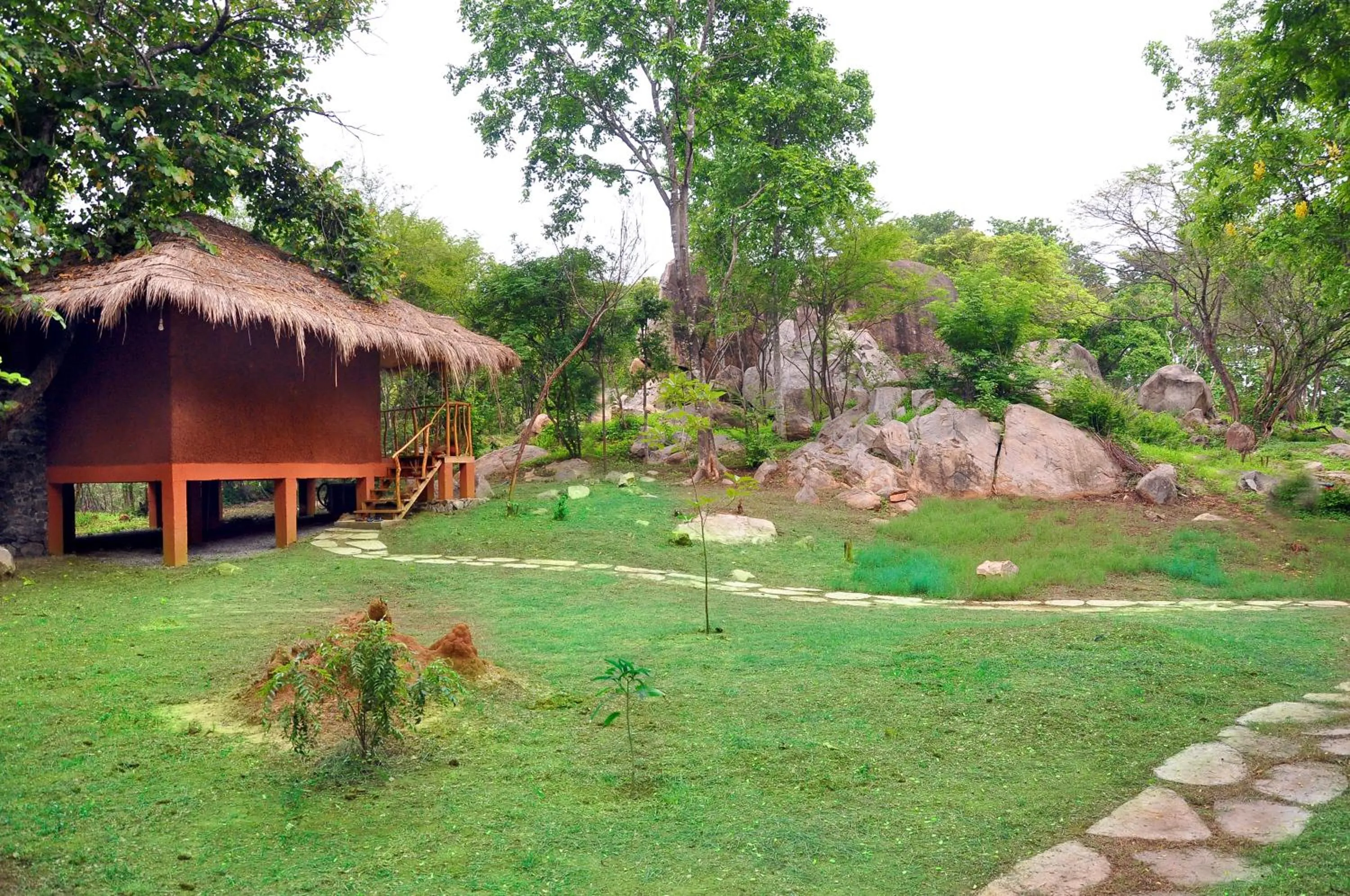 Bird's eye view in La Pentera