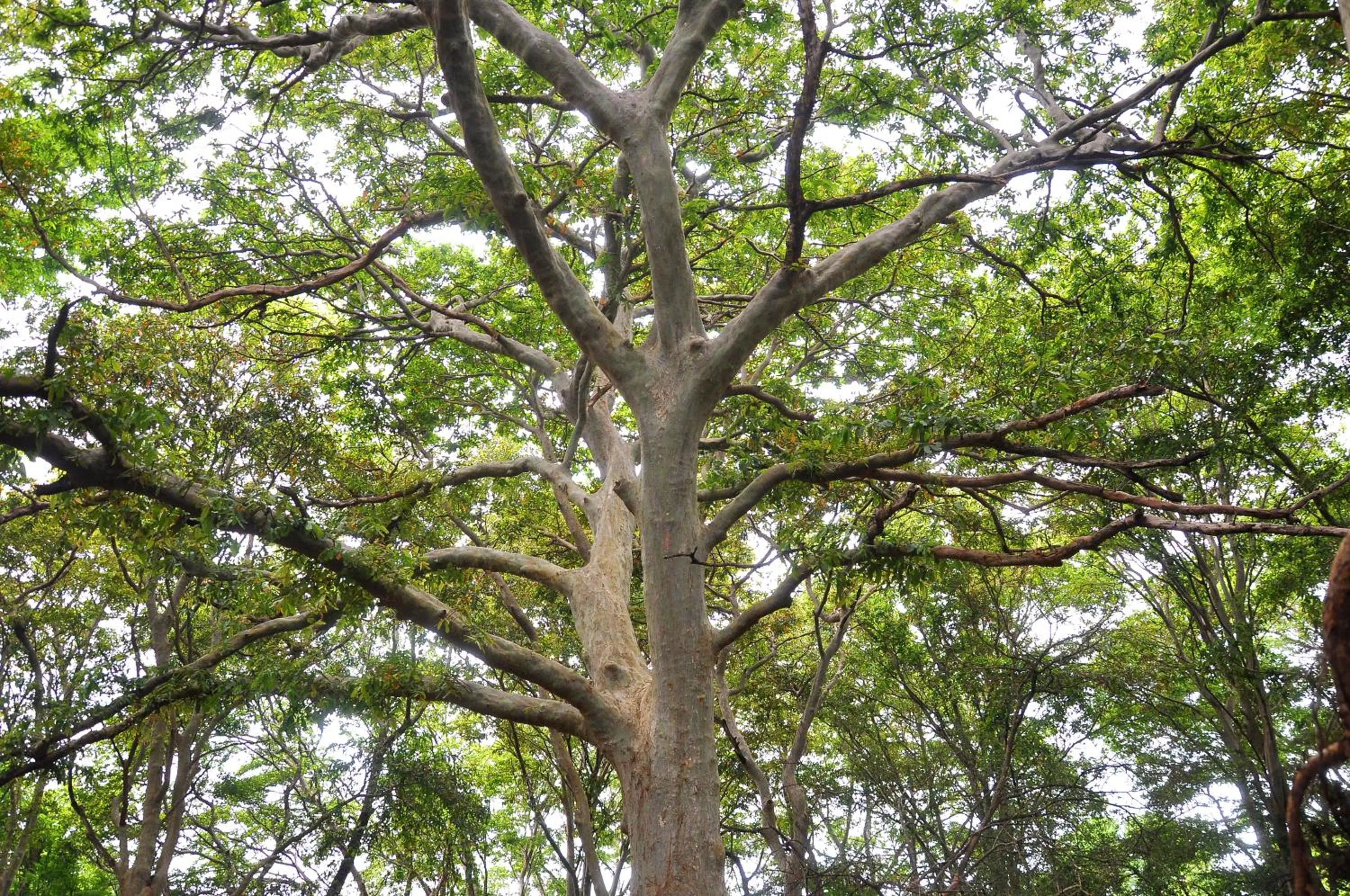 Neighbourhood in La Pentera