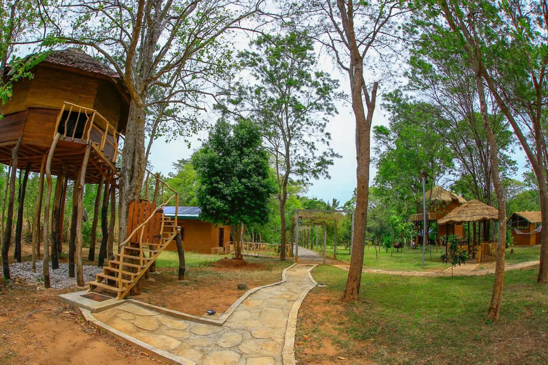 Tree House in La Pentera Tree House in La Pentera