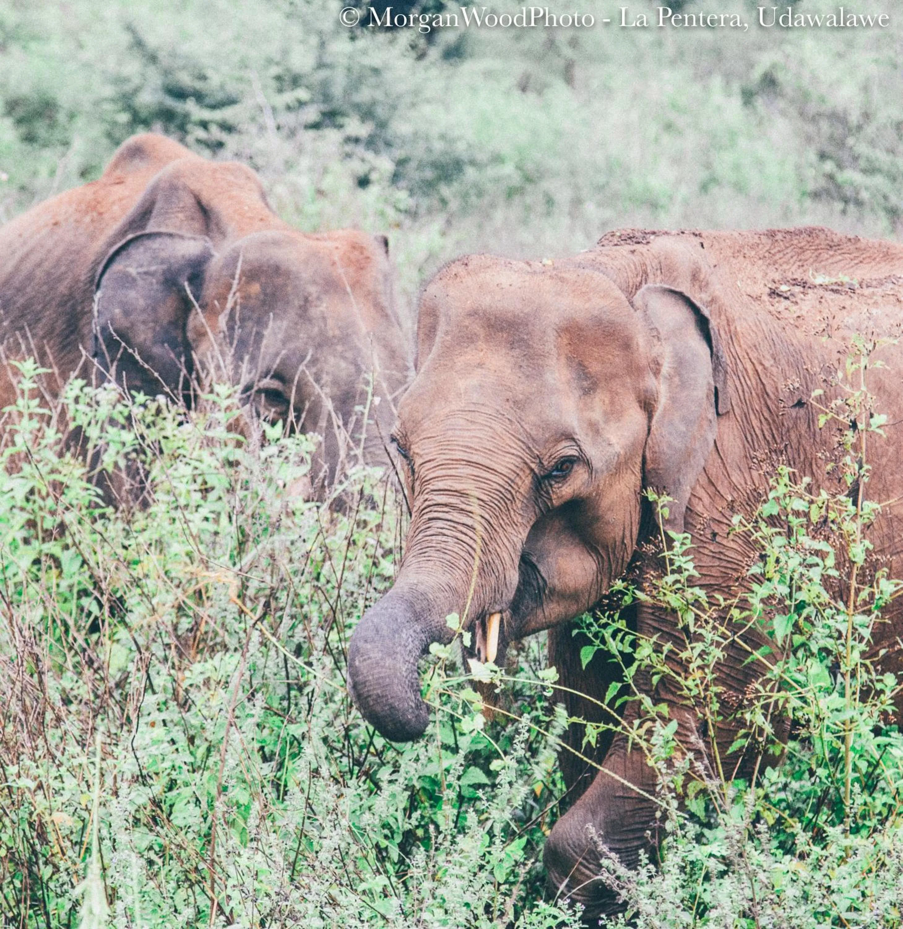 Nearby landmark in La Pentera