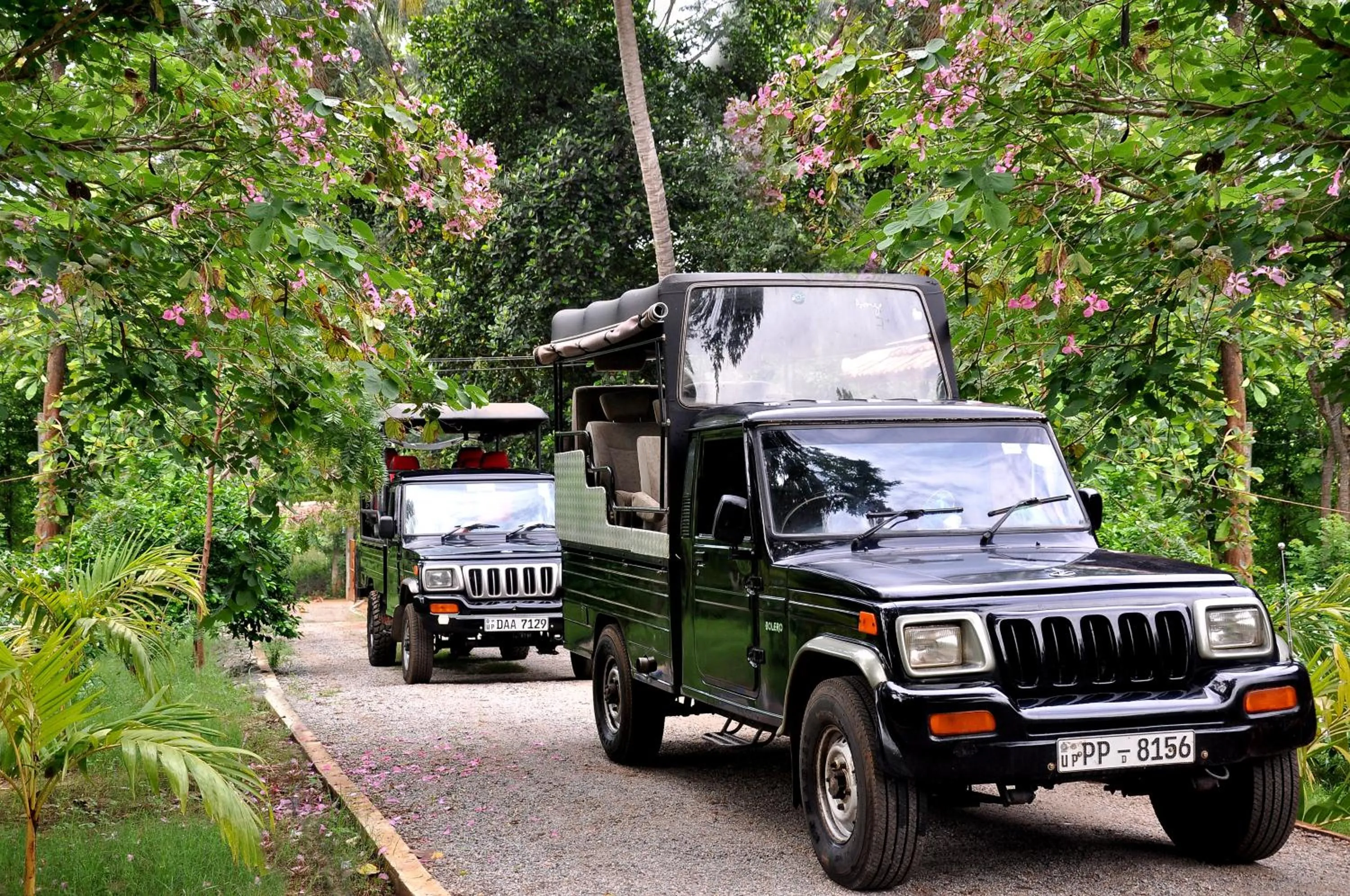 Sports in La Pentera