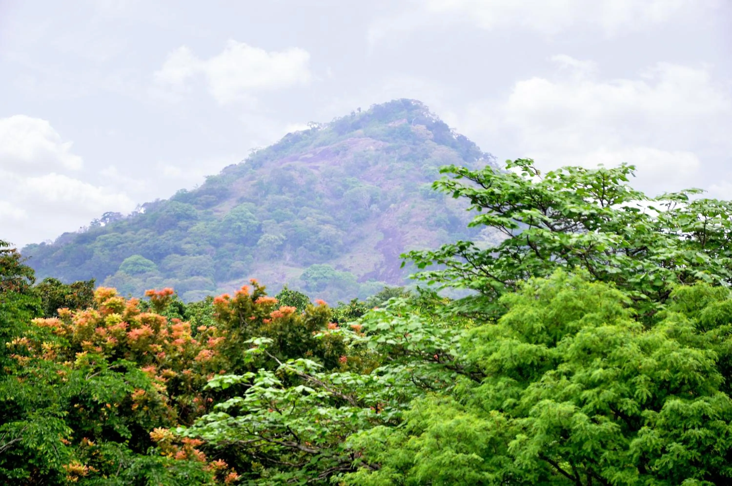 Mountain view in La Pentera
