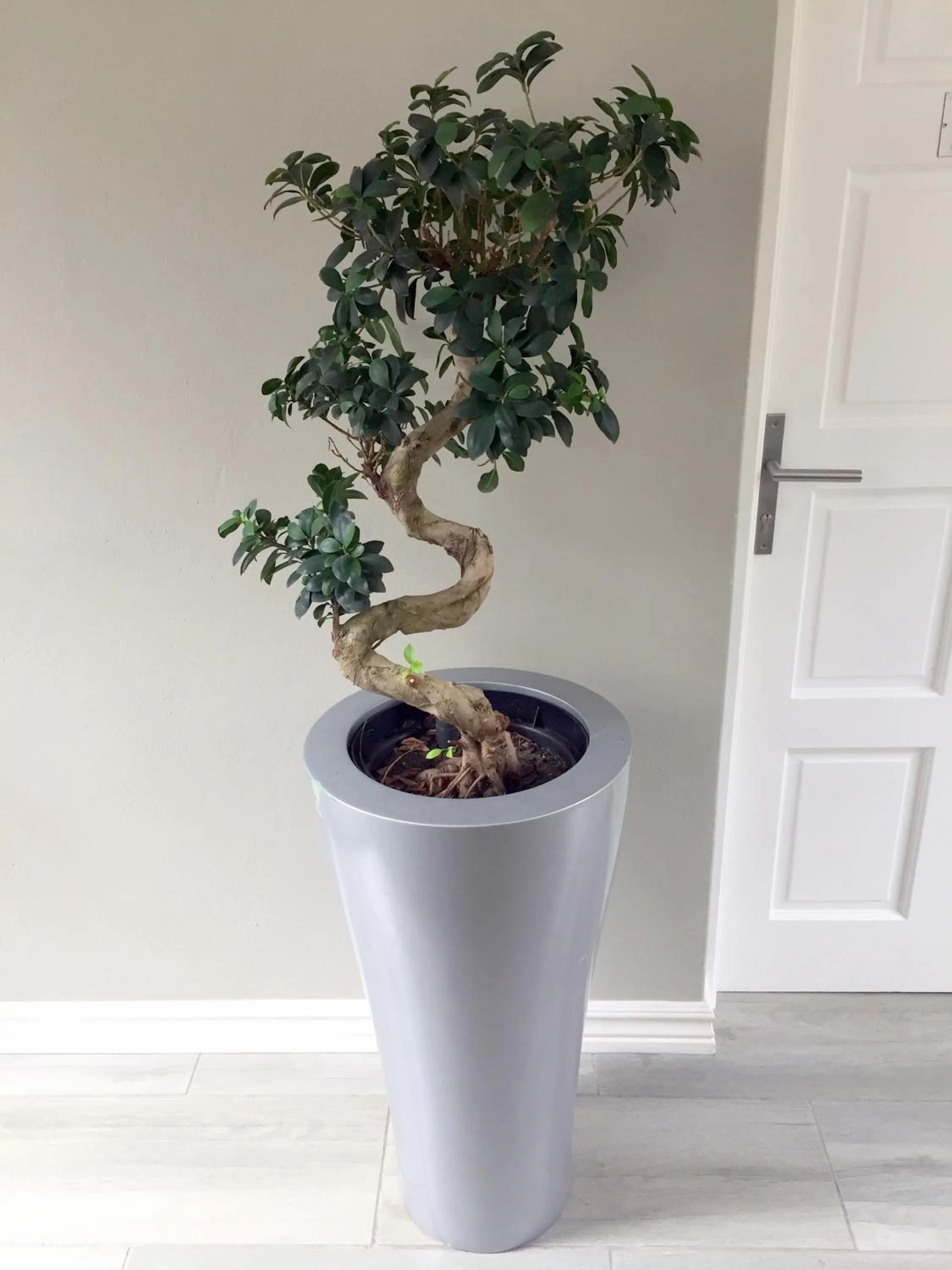 Decorative detail in Vanilla Guesthouse