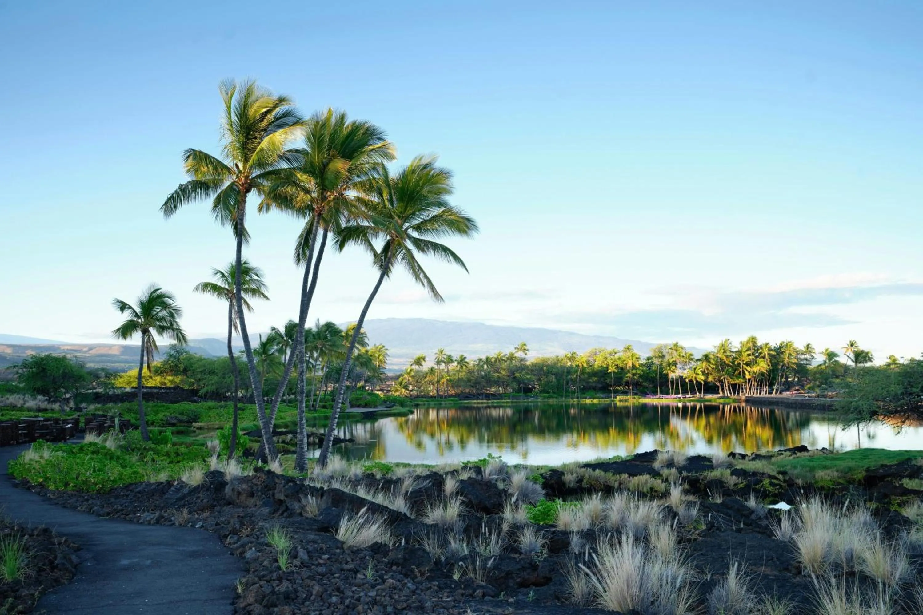 Other in Marriott’s Waikoloa Ocean Club