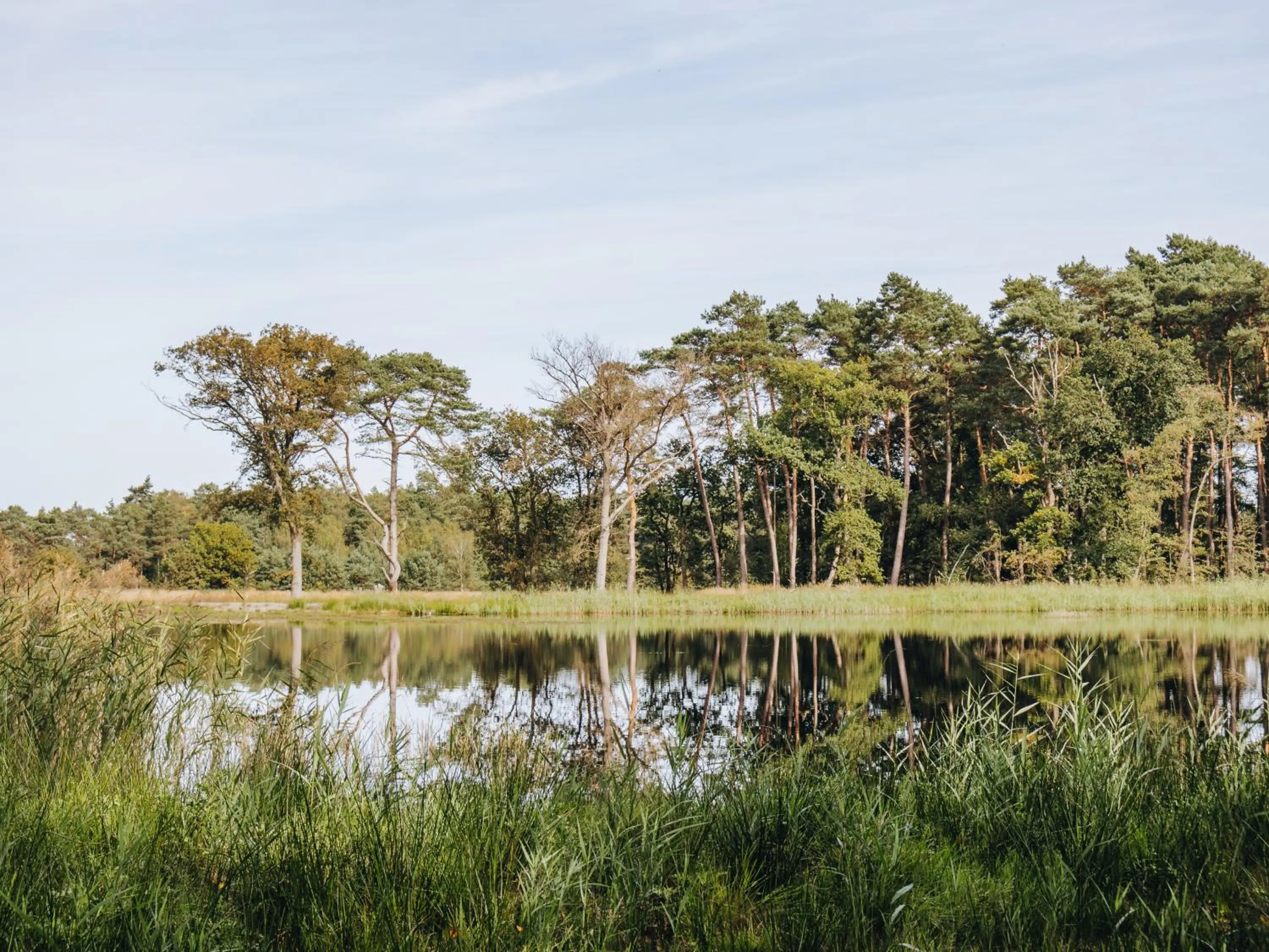 La Butte aux Bois a Small Luxury Hotel of the World