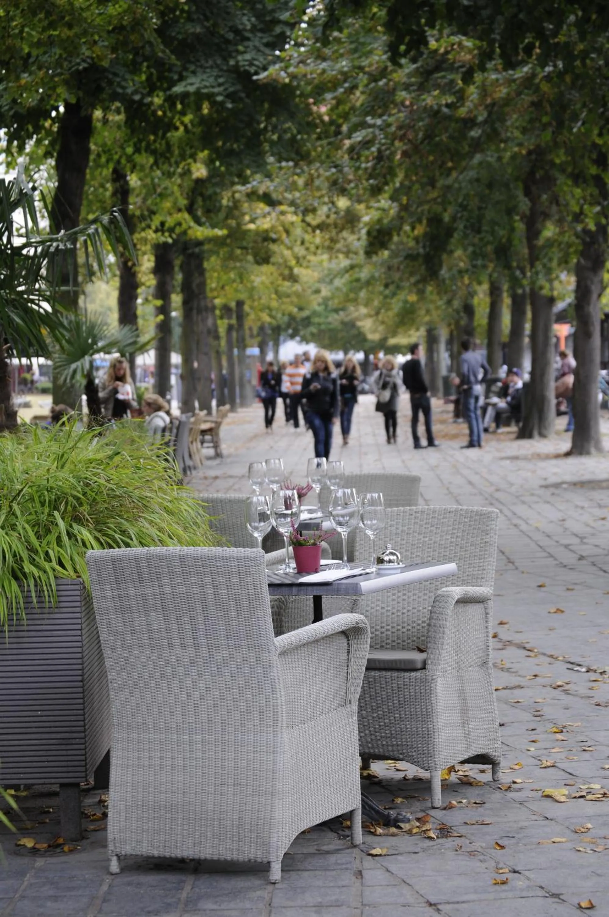 Balcony/Terrace in Lace Hotel