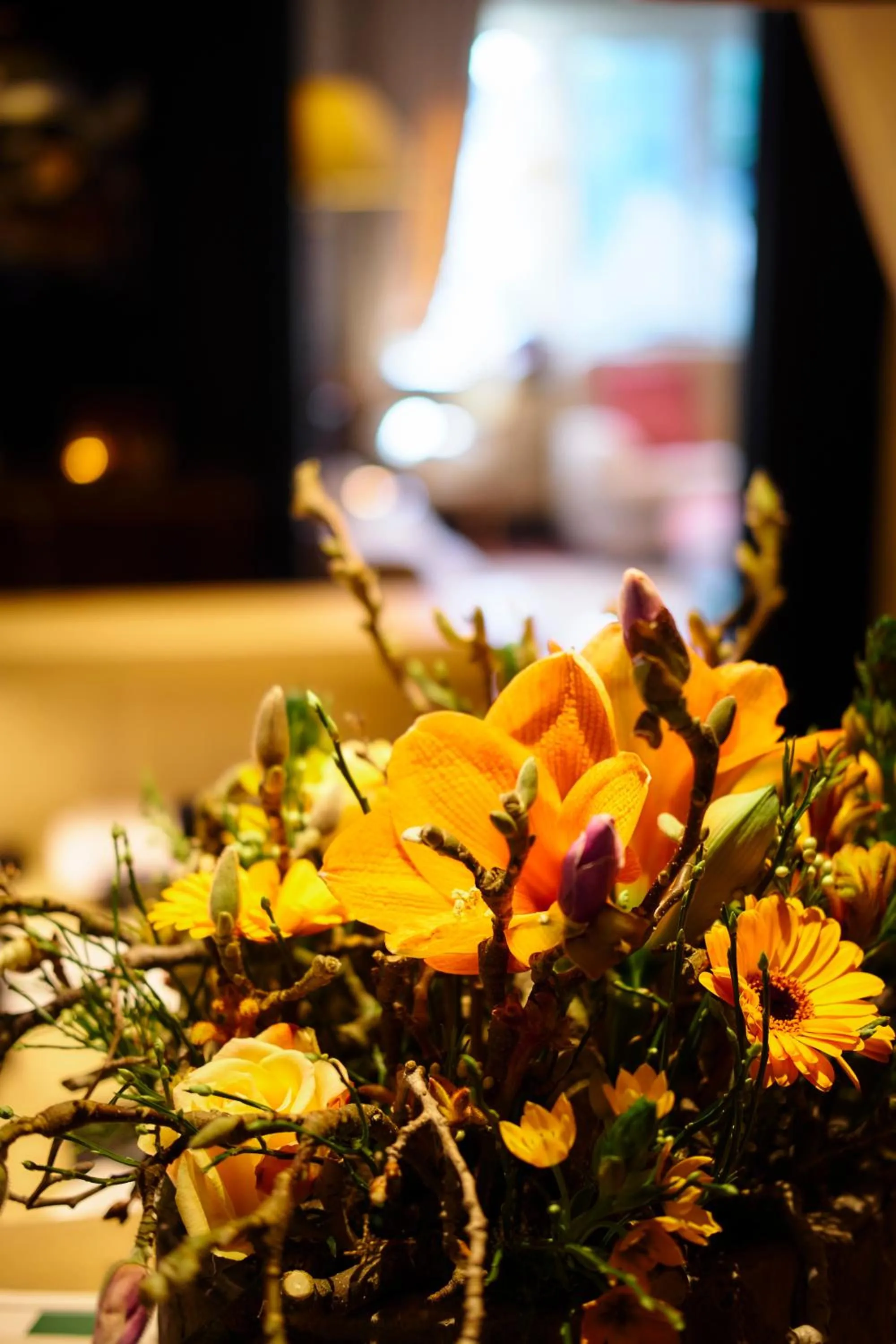 Romantik Manoir Carpe Diem