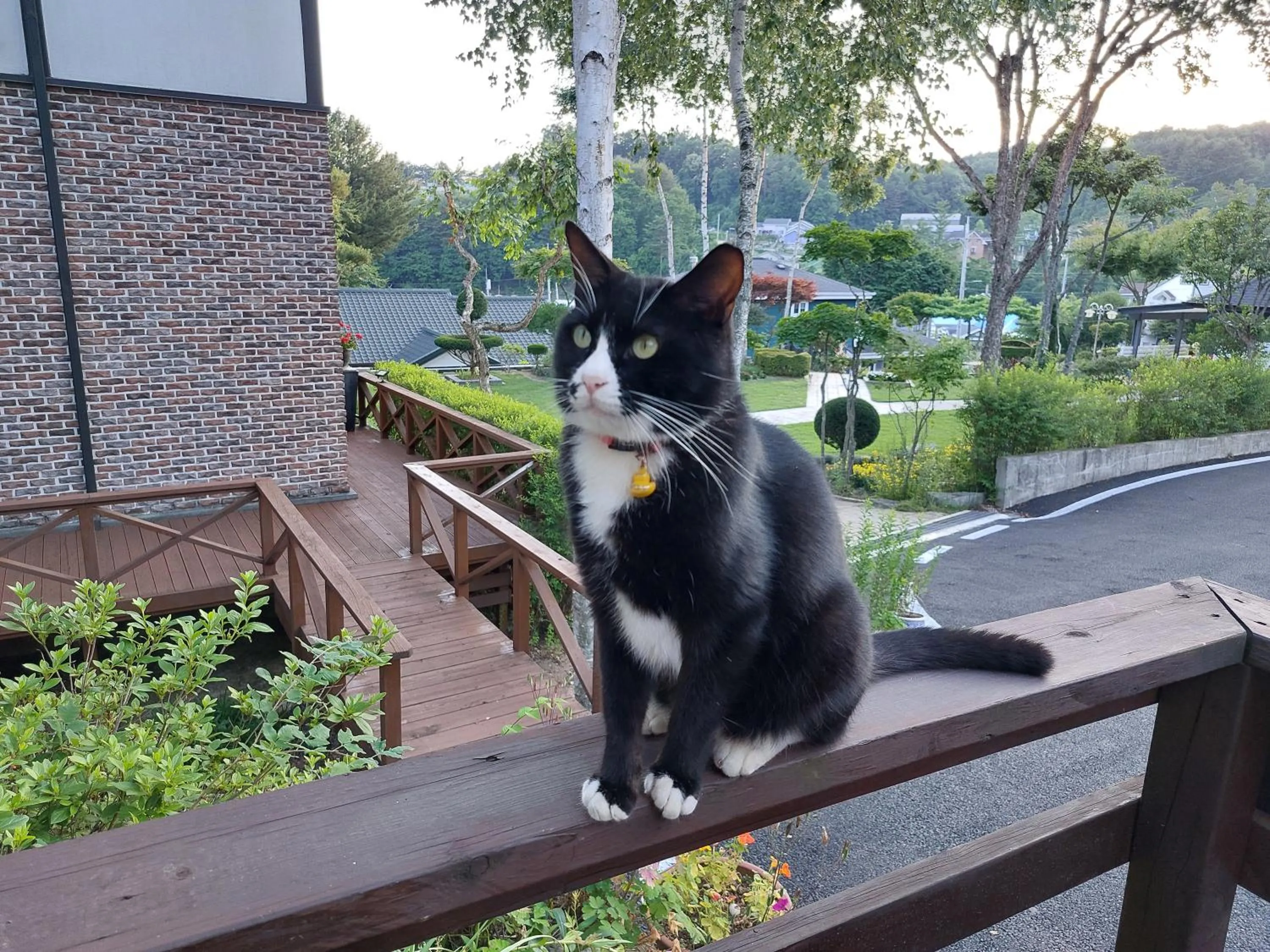 Soop and Soop Pension