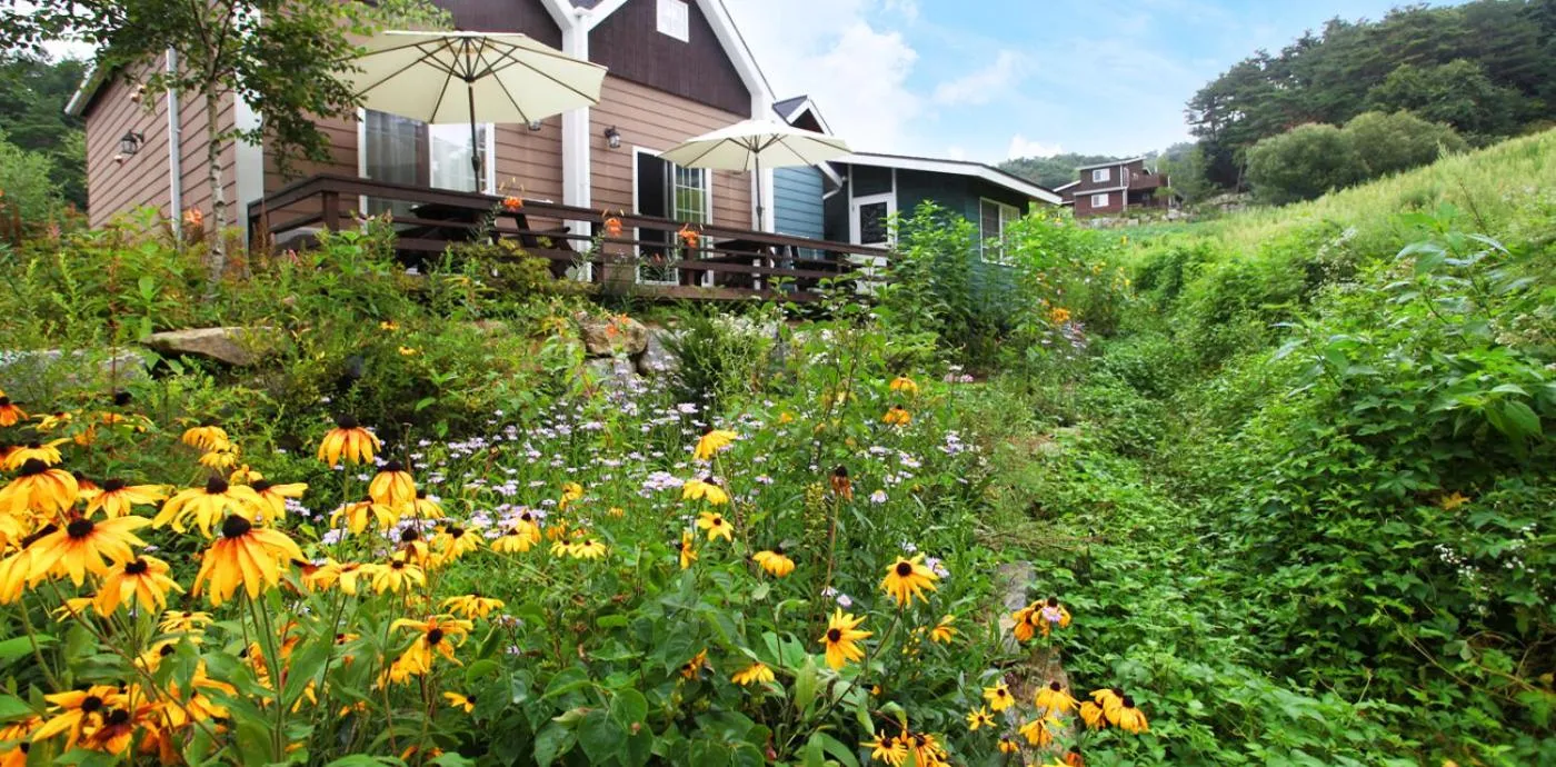 Garden in Soop and Soop Pension