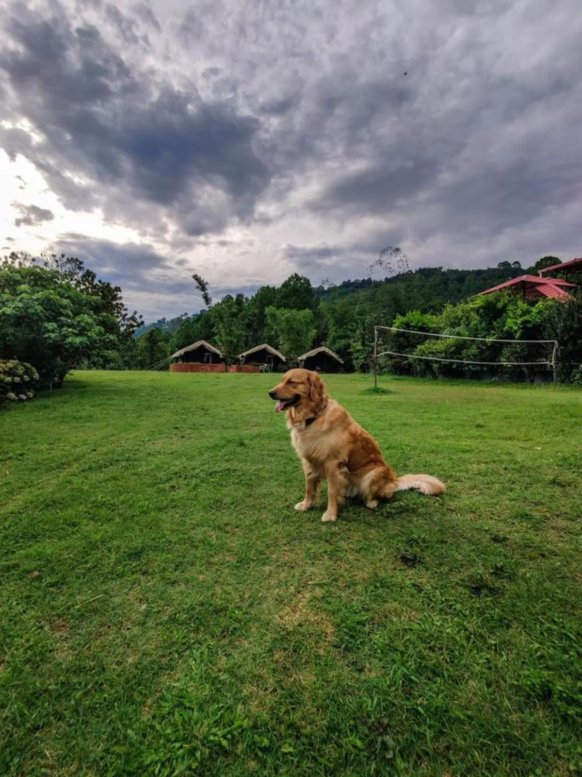 Garden in Samskara & Samsara