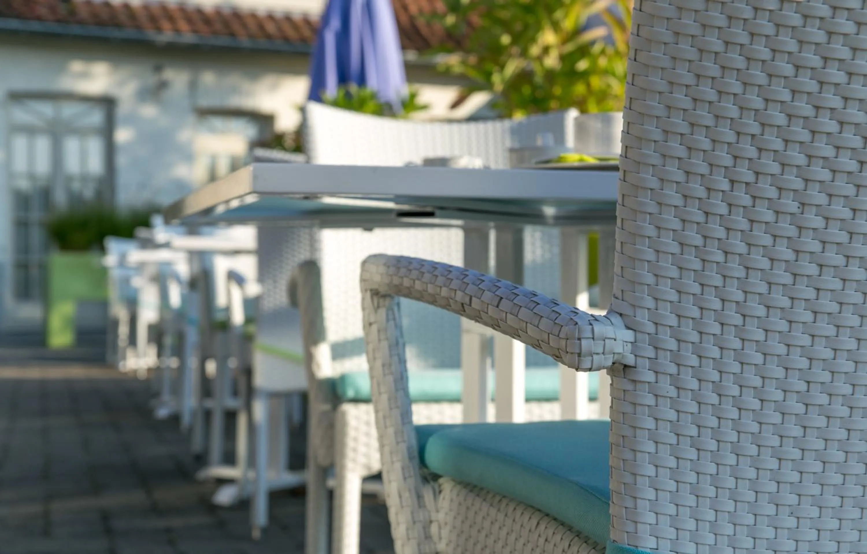 Balcony/Terrace in Country House Duinhof