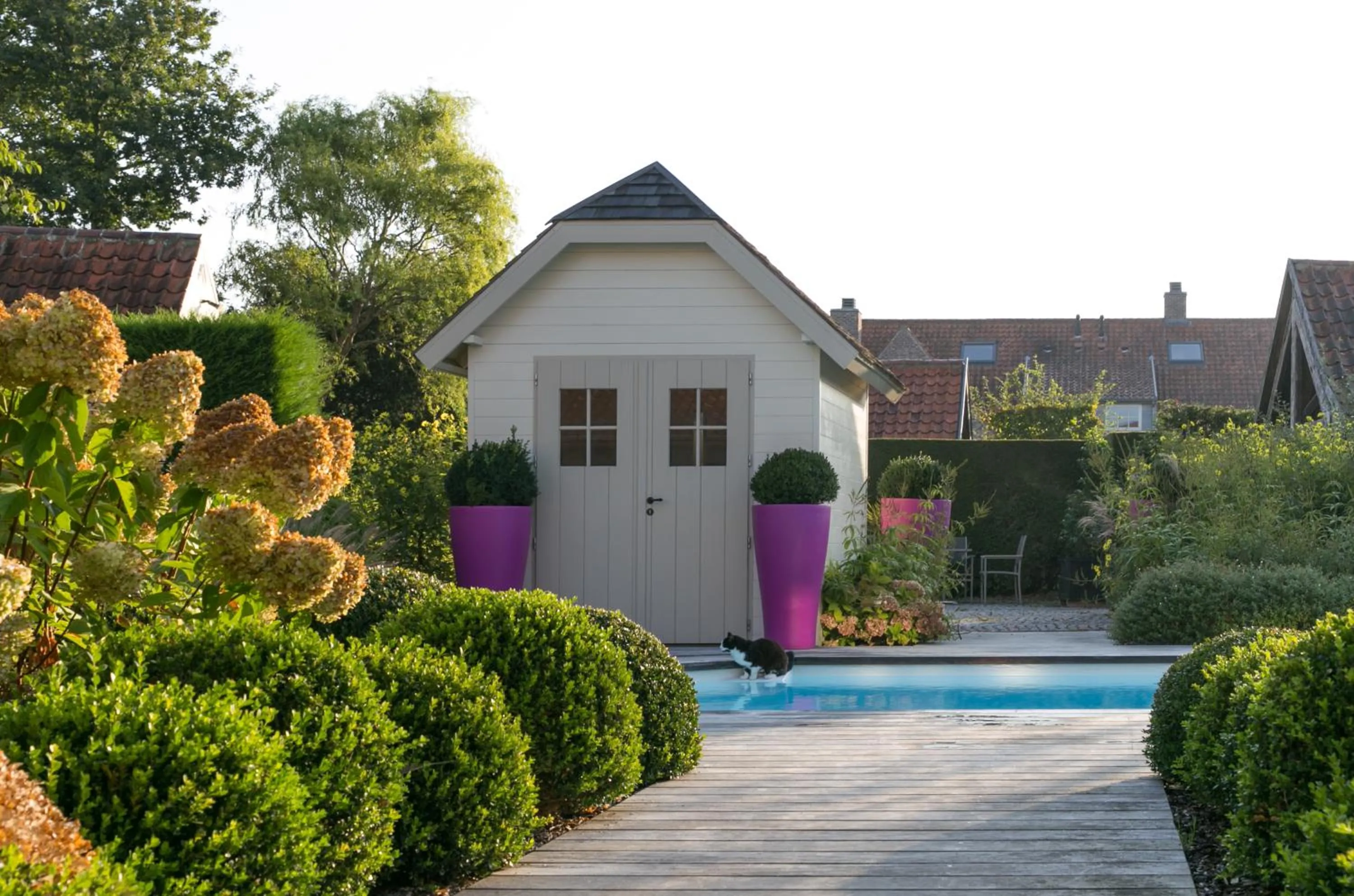 Pool view in Country House Duinhof